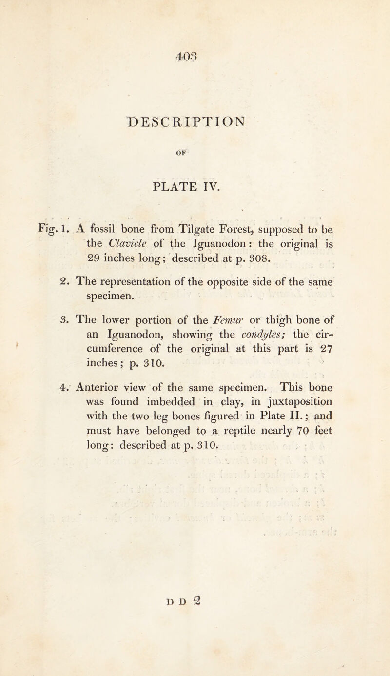 DESCRIPTION OF PLATE IV. Fig. 1. A fossil bone from Til gate Forest, supposed to be the Clavicle of the Iguanodon : the original is 29 inches long; described at p. 308. 2. The representation of the opposite side of the same specimen. 3. The lower portion of the Femur or thigh bone of an Iguanodon, showing the condyles; the cir¬ cumference of the original at this part is 27 inches; p, 310. 4. Anterior view of the same specimen. This bone was found imbedded in clay, in juxtaposition with the two leg bones figured in Plate II.; and must have belonged to a reptile nearly 70 feet long: described at p. 310. ^ - D D ^
