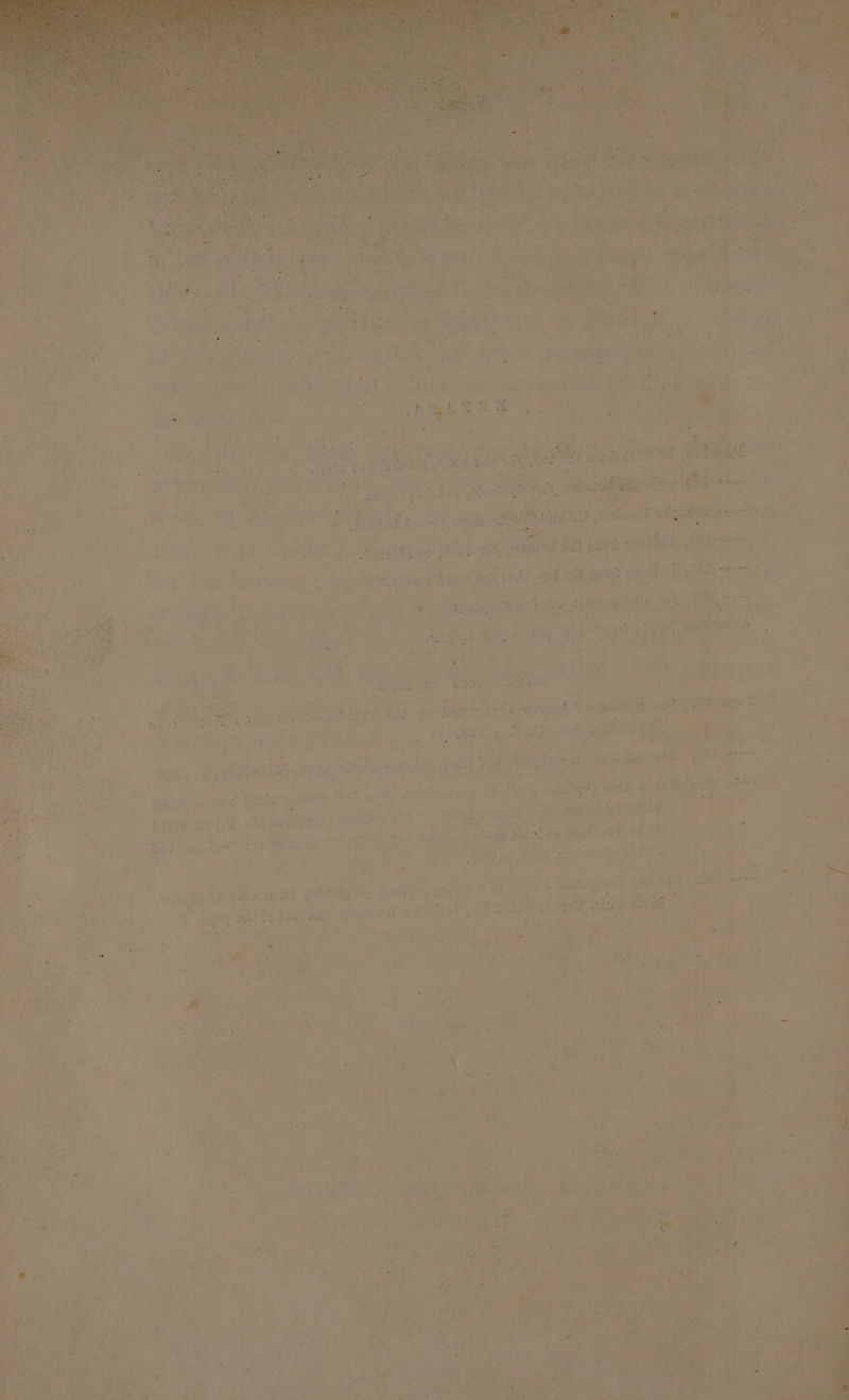 ? - etd syivt rae! 1 Pa er : | yi Be : at (if , a ‘ Tate’ Me ae iG lf ee 7 ey FaBnanar dah 5a AR ae os &gt; oe } Ses igh shat rg ey Ree tee’ a part gant 6 aed RE OES erry: » a eae 8 es yh a Steet bo Aes tig a HE, ee) Pt ae i. rr ‘ = rr ; pm * Ps Coe paet - , fit. . ee i oy aid bi nd ee ’ 7 2 ‘s nj Sh lat Ae eth tite hen 9 Suisse Some dios Sapte ess : &lt;aty ‘ i ' ‘ wa “f, fe | Geen Cele 4 mig ‘) = te Eu pi V9 f é } ° | ; @ oe eh e Pa a Gs RPL EN ye” PRS Ayr wens we afer § 8, she ) hich % eee UR a Lows t2 ta HOP} a « 2 | | ; eee ; is i ae ; Y 7 3 eR) ae dace at ose aR ey TY 30 29 EP ote ahd tena Gale os ; A ale % re ee ee SPE soobal y a ger ers 7 _, AIL aes a” Aes sit, Wat hike ri ote : Or, ; ’ i pinhlpon ba Oey ate ne ; ere” oe : es; af “at , pais “&gt; e ‘Cine r } i eee ees a. ‘Se oeBAT gunk fal ora ad sy &gt; Ba reat ava :  t ee Arn Se] ) ae r= by ¥ , A b ‘ 2a) es whe . - . ty hits i a at hie: os ee Z ‘ ay ‘ ° . { . : zi 7 a : : : ; * ' pa re -— hal , nal Be : os ; . ¢ ae a oe at te acne Pt] . i dpiiy. reread. 20. Say 'S Soebte ar « a j ‘ae ya a Abi ho ak Serta Y a oe ae , agit i si Ata a Pe 4 = . éliee - ~ iJ = 4 ’ ao ” cn, ast 5 2 , “et : By | ‘oa } ge iy ys ¢ ee thy o ieee it? an ade a ! 7. 2 ae eae ant JU) FRAP RS SEN : j ce | ; oF bas Can i 1 . ¢ ik 4 ’ - + a 5 ey) 7 A %