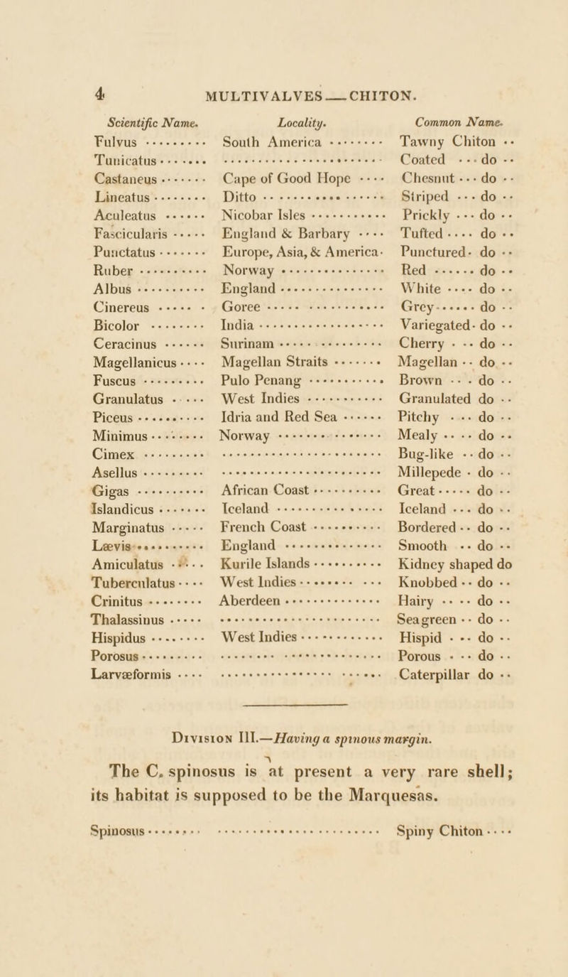 Scientific Name. Locality. Common Name. Fulvus ------++- South America --++---- Tawny Chiton -- PaMIGAtUS’s os cae | le Sciecccees ste Bio, avetend Coated -&lt;«: do -- Castaneus ------- Cape of Good Hope ---- Chesnut --- do - WGineatis® «i030: Ditto res ot tance eile cs ister Striped arm thd Owes Aculeatus --++-+ Nicobar Isles ----+-+++-- Prickly --- do -- Fascicularis ----- England &amp; Barbary ---- ‘Tufted-.-- do-- Punctatus ------- Europe, Asia, &amp; America. Punctured- do -- Rubew -2serectess« Norway mpaiietecal oie oyeren st etees Redeam &lt;&lt;a do -- AbD tige sso eresies i&gt; England ale aticieleieleis. minis White ---- do- Cinereus ----- - » Goree «++ +2 «cscs cecces Grey Se latetale do -- Bicolor ele at&gt; Ta = ees co ore sicteia a fas Variegated- ao =&lt; Ceracinus ------ Surinam «+++ +o +eeee esse Cherry - -- do -- Magellanicus---- Magellan Straits ------- Magellan -- do -- Fuscus ----+++++ Pulo Penang ----++---- » Brown -- - do -- Granulatus -.--- West Indies -----+----- Granulated do -- Piceus -+.-0+--+- Idria and Red Sea -:---- Pitchy --. do-- Minimus---:---- Norway ain Seep gg aks winks rate Mealy a0 Ones CHER, ire eral oie o isco wipes on esinine's Bug-like «&lt;Q Asellus ----2s20: sseecccsceccaceccreceece Millepede =» does Gigas ---+-++++- African Coast ++ ---+--«- Great ----- dol: Islandicus ---+:-- Teeland ++ +++- sees veers Iceland --- do =: Marginatus ----- French Coast ---+-++---- Bordered -- do -- LeVigite sad e905 England -+-+-+++.-+++s Smooth -- do - Amiculatus -**-- Kurile Islands ---------- Kidney snbatiy ab Tuberculatus---- West Indies--+++--- --- Knobbed -- do - Crinitus -----++- Aberdeen «+++++++++e+e% Hairy - - do: Thalassinus -++++ seer sees eerste tree ease Sea green -- do -- Hispidus ---.---- West Indies --------..-- Hispid - -- do - POLOSUB e's oisie e502), wie weleielnie eels 'e cele wwieine Porous - -- do-- Larvzeformis «+++ «eeeeeeeteteeeee eases Caterpillar do :: Division [l].— Having a spmous margin. Ray aN The C. spinosus is at present a very rare shell; its habitat is supposed to be the Marquesas. Spinosus ceapeges cernsecnece Gi ele/e'6 ae hla eteliete a Spiny Chiton-:---