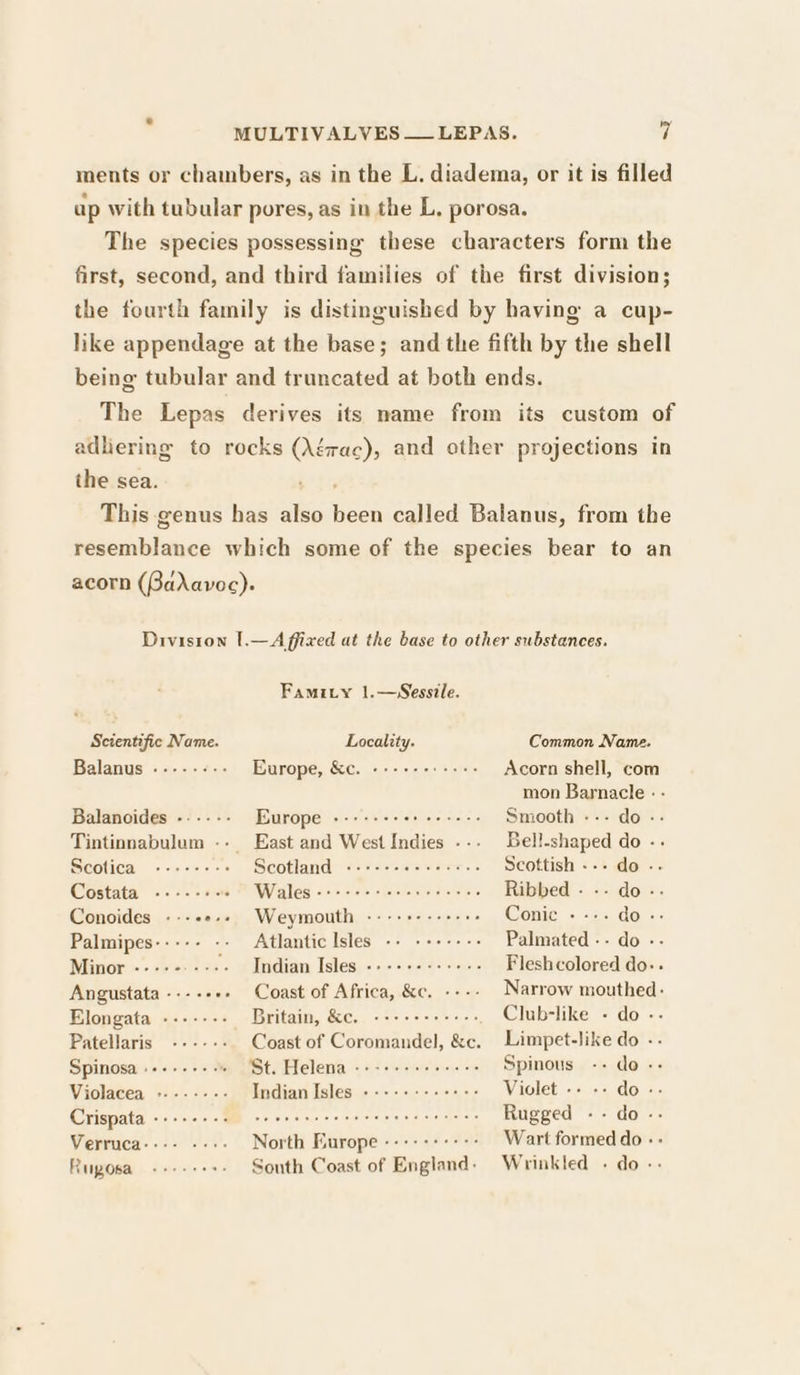 ments or chambers, as in the L. diadema, or it is filled ap with tubular pores, as in the L, porosa. The species possessing these characters form the first, second, and third families of the first division; the fourth family is distinguished by having a cup- like appendage at the base; and the fifth by the shell being tubular and truncated at both ends. The Lepas derives its name from its custom of adhering to rocks (Aérac), and other projections in the sea. , This genus has also been called Balanus, from the resemblance which some of the species bear to an acorn (BaXavoc). Division [.—Affixed at the base to other substances. Famity 1.—WSessvle. Scientific Name. Locality. Common Name. Balanus -----&lt;-.- Europe, &amp;c. +++ ++++ +++: Acorn shell, com mon Barnacle - - Balanoides ---- -- Europe --+-+--+++ +--+: Smooth --- do -- Tintinnabulum -- East and West Indies - Bell-shaped do -. AOTIGae 1s &lt;isibrerersls Scotland «:+s«+c«sser.. Scottish --- do -. Gostata sot am Wraleg &lt;: 5 as slovenia Ribbed - -- do-. Conoides ---ee-- Weymouth tach pleuatakoh efeueteye @Wonie: « «ms dor Palmipes----- -- Atlantic Isles -. + ++-+-- Palmated -- do -- Minor -------- ’. Indian Isles -.-----+++-- Fleshcolored do-- Angustata -a2eema Coast'of Africa,.&amp;e. ---- Narrow mouthed: Elongata Mosiershed Britain, BEC, ose c ences Club-like - do - Patellaris Coast of Coromandel, &amp;c. Limpet-like do -- Spinosa ».-..--- PSE AETeleniais a4 seretarctennetors Spinous -- do -- Violacea &gt;------- Indian Isles +-+-+++++++- Violet -- -- do -- Crispata EASA. Wackhicnaatiocrnann: ister aire Rugged Phair rave Verruca---- ++: North Europe --+--+++-&gt; Wart formed do - Ruposa -++-+++- South Coast of England. Wrinkled .« do -.