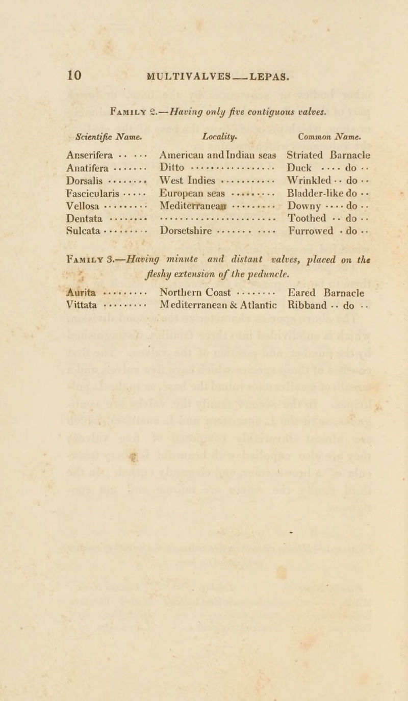 Famity 2.— Having only five contiguous valves. Sctentifie Name. Locality. Common Name. Anserifera -- --- American andIndian seas Striated Barnacle Anatifera .-+--+-- MD thG: ascites he siemens’. a0 Duck «:-- do -: Dorsalis ----+-+» West Indies «-.-.--+--- Wrinkled -- do-- Fascicularis --+-- European seas --+++---- Bladder-like do -- Vellosa -------+»- Mediterranea --------- Downy ----do-- Dentata ----- phate MM Vetaln atcha. drontharetetete ceakatet oe? era Toothed -- do-- Sulcata--+.-+---- Dorsetshire --+++++ +++ Furrowed - do -- Famity 3.—Having minute and distant valves, placed on the / fleshy extension of the peduncle. Murita &lt;.-6..... Northern Coast -------- Eared Barnacle Vittata --+--++-&gt; Mediterranean &amp; Atlantic Ribband -- do -- ay