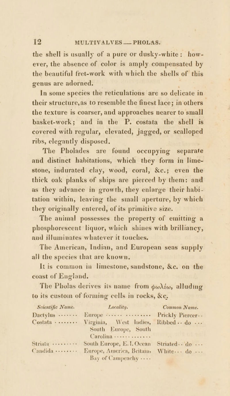 the shell is usually of a pure or dusky-white: how- ever, the absence of color is amply compensated by the beautiful fret-work with which the shells of this genus are adorned. In some species the reticulations are so delicate in their structure,as to resemble the finest lace; in others the texture is coarser, and approaches nearer to small basket-work; and in the P. costata the shell is covered with regular, elevated, jagged, or scalloped ribs, elegantly disposed. The Pholades are found occupying separate and distinct habitations, which they form in lime- stone, indurated clay, wood, coral, &amp;c.; even the thick oak planks of ships are pierced by them: and as they advance in growth, they enlarge their habi- tation within, leaving the small aperture, by which they originally entered, of its primitive size. The animal possesses the property of emitting a phosphorescent liquor, which shines with brilliancy, and illuminates whatever it touches. The American, Indian, and European seas supply all the species that are known. tis common in limestone, sandstone, &amp;c. on the coast of England. The Pholas derives its name from gwAéw, alluding to its custoin of forming cells in rocks, &amp;e. Scientific Name. Locality. Common Name. Dactylus ---++-- Europe -+++++ seer eens Prickly Piercer- - Costata + +.+.66- Virginia, West Indies, Ribbed-- do -- South Europe, South (GaTroOling) swe se seinteniers Striala ceeeeees South Europe, E.!.Ocean Striated-. do «-- Candida +++++++- Europe, America, Britain, White... do --- Bay of Campeachy -++-