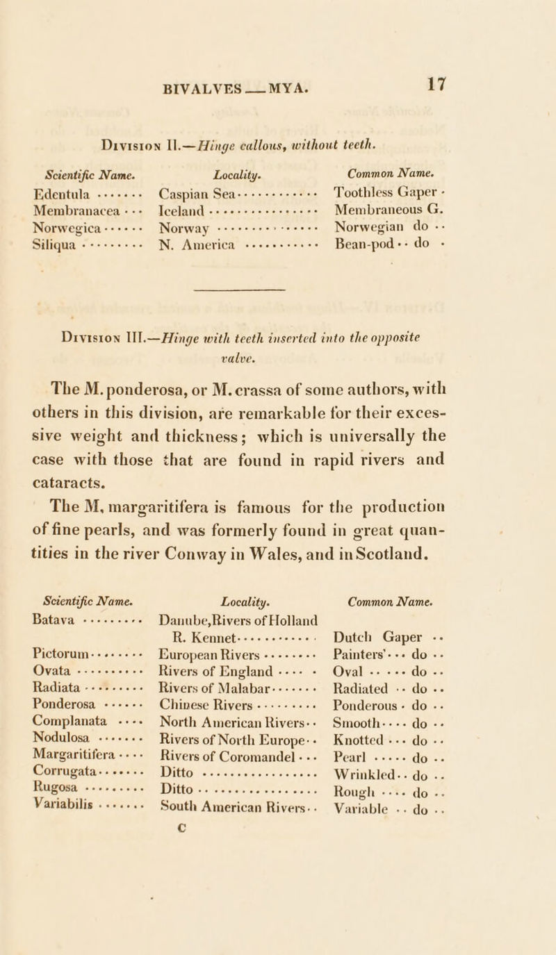 Division I].—Hinge callous, without teeth. Scientific Name. Locality. Common Name. Edentula ------- Caspian Sea---+-++-+++- Toothless Gaper - Membranacea--- Iceland -+++-++++++++++ Membraneous G. Norwegica---+-- Norway --+++-+°&gt; te eees Norwegian do - Siliqua -+++++--- N. America «-+-++++++ Bean-pod ++ do Drvtston U].—Hinge with teeth inserted into the opposite valve. The M. ponderosa, or M. crassa of some authors, with others in this division, are remarkable for their exces- sive weight and thickness; which is universally the case with those that are found in rapid rivers and cataracts. The M, margaritifera is famous for the production of fine pearls, and was formerly found in great quan- tities in the river Conway in Wales, and in Scotland. Scientific Name. Locality. Common Name. Batava ---....-. Danube,Rivers of Holland R. Kennet-----+-+---- Dutch Gaper -- Pictorum---+--+-- European Rivers ------+- Painters’--- do - Ovata -----+-+-- Rivers of England ---- - Oval -- «++ do -- Radiata --------- Rivers of Malabar-----++ Radiated .- do -- Ponderosa ------ Chinese Rivers ------++++ Ponderous - do -- Complanata ---- North American Rivers: Smooth---- do -- Nodulosa --+--.- Rivers of North Europe:- Knotted --- do -- Margaritifera---- Riversof Coromandel--- Pearl -++-- do -- Corrugata- cor ot, 2: Dn WeARIOI nee Ero Knot ees Wrinkled.. a0) «. Rugosa Sievers e.etonersl® IDDIEEO e's s chevale sid re ie, claves Rough mre ar CO ois Variabilis ..-.... South American Rivers-. Variable -. do -. Cc