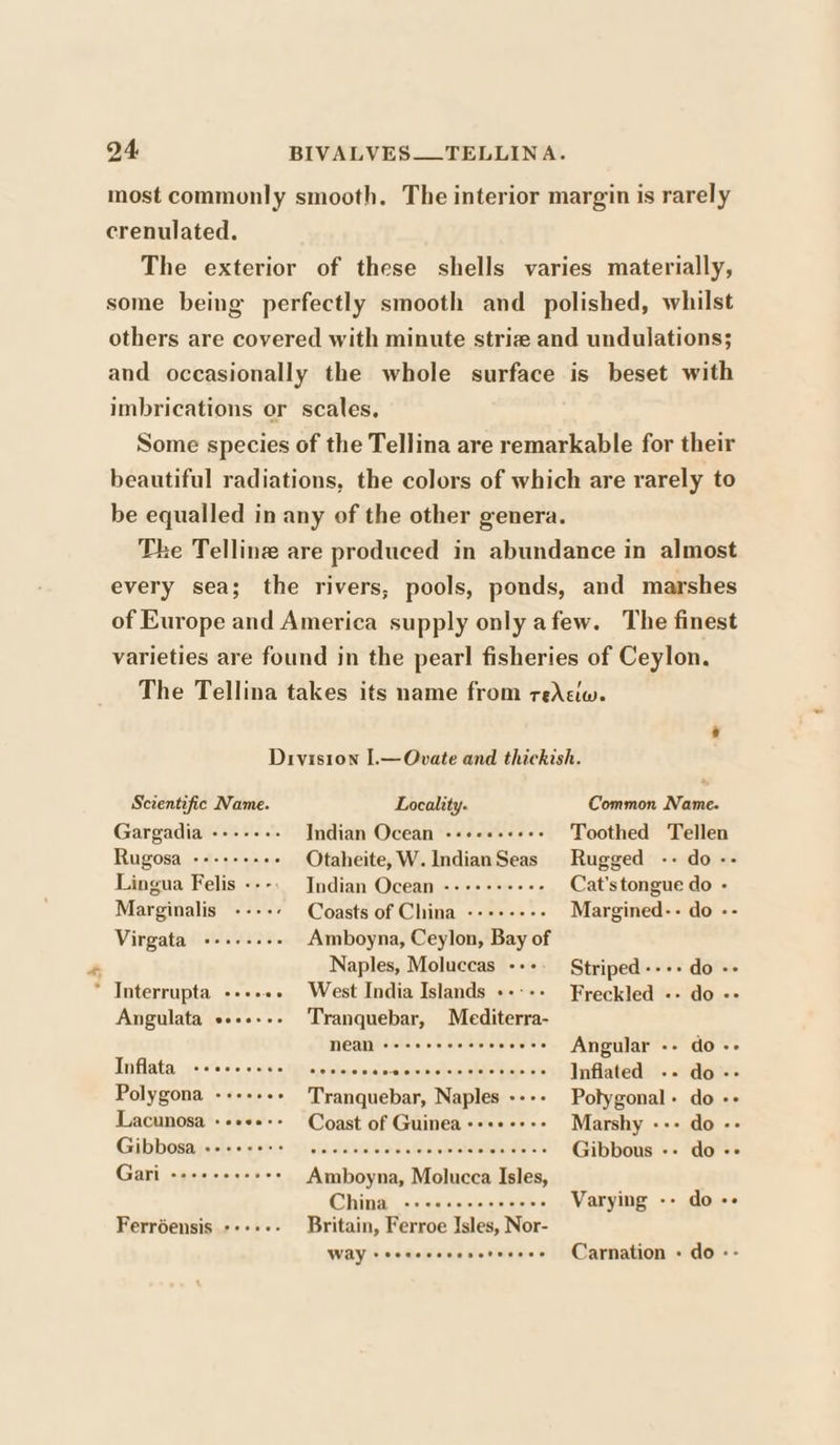 most commonly smooth, The interior margin is rarely crenulated. The exterior of these shells varies materially, some being perfectly smooth and polished, whilst others are covered with minute striz and undulations; and occasionally the whole surface is beset with imbrications or scales. Some species of the Tellina are remarkable for their beautiful radiations, the colors of which are rarely to be equalled in any of the other genera. The Telline are produced in abundance in almost every sea; the rivers, pools, ponds, and marshes of Europe and America supply only afew. The finest varieties are found in the pearl fisheries of Ceylon. The Tellina takes its name from reActw. * Division I.—Ovate and thickish. Scientific Name. Locality. Common Name. Gargadia --+----. Indian Ocean -++-+++++ Toothed Tellen Rugosa ---+-+++- Otaheite,W.IndianSeas Rugged -- do -- Lingua Felis ---. Indian Ocean --+++++++- Cat’stongue do - Marginalis ----- Coasts of China --++-+-- Margined-.- do -- Virgata +++... Amboyna, Ceylon, Bay of ' Naples, Moluccas -++- Striped--++ do ++ * Interrupta --+.+. West India Islands +---- Freckled -- do «+ Angulata es+.-.- Tranquebar, Mediterra- NEAN «eo cereveccvccece Angular se GO +e Inflata ++ee+eee sjetpleaalsiajn-afaislaichcsuigtdett tastes Inflated -- do- Polygona -++++«+ Tranquebar, Naples ---- Potygonal- do -- Lacunosa ++++++- Coast of Guinea ++++++-- Marshy --- do -- Gibbosgaigests igewss a 15 Fae ne Me ctelslotestee = Gibbous -- do «+ Gari ++++++seees Amboyna, Molucca Isles, Ching). «cay eseboeaer Varying -- do «+ Ferréensis -+++-- Britain, Ferroe Isles, Nor- WAY + eeceeccesereeees Carnation + do --