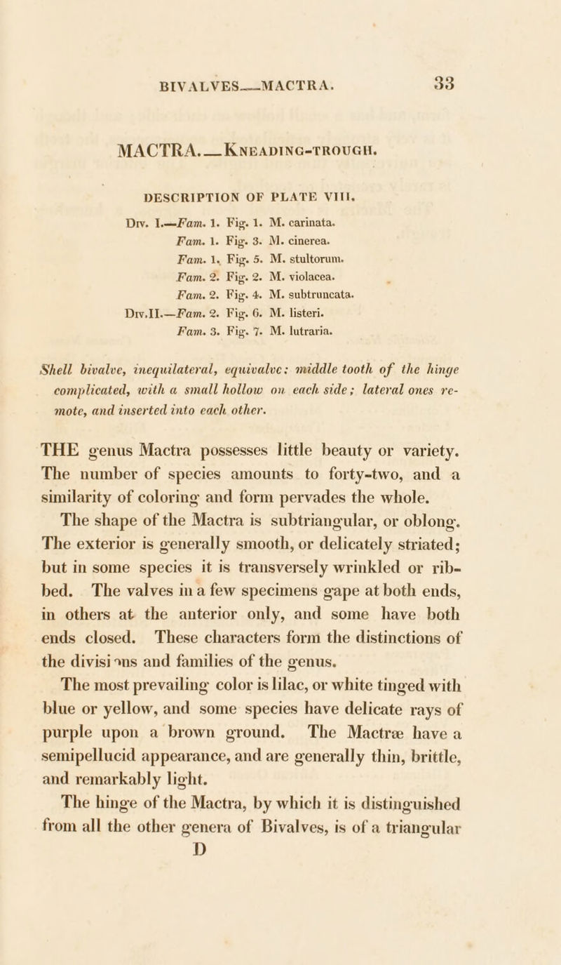 MACTRA. — KNEADING-TROUGH. DESCRIPTION OF PLATE VIII, Dy. I.—Fam. 1. Fig. 1. M. carinata. Fam. 1. Fig. 3. M. cinerea. Fam. 1. Fig. 5. M. stultorum. Fam. 2. Fig. 2. M. violacea. Fam. 2. Fig. 4. M. subtruncata. Dw, I1.—Fam. 2. Fig. 6. M. listeri. Fam. 3. Fig. 7. M. lutraria. Shell bivalve, inequilateral, equivalve; middle tooth of the hinge complicated, with a small hollow on each side; lateral ones re- mote, and inserted into each other. THE genus Mactra possesses little beauty or variety. The number of species amounts to forty-two, and a similarity of coloring and form pervades the whole. The shape of the Mactra is subtriangular, or oblong. The exterior is generally smooth, or delicately striated; but in some species it is transversely wrinkled or rib- bed. The valves ina few specimens gape at both ends, in others at the anterior only, and some have both ends closed. These characters form the distinctions of the divisions and families of the genus. The most prevailing color is lilac, or white tinged with blue or yellow, and some species have delicate rays of purple upon a brown ground. The Mactre have a semipellucid appearance, and are generally thin, brittle, and remarkably light. The hinge of the Mactra, by which it is distinguished from all the other genera of Bivalves, is of a triangular D