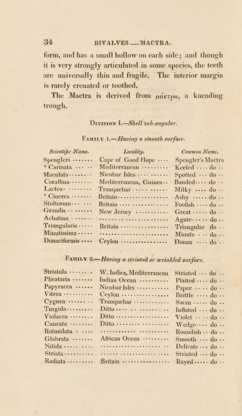 form, and has a small hollow on each side; and though it is very strongly articulated in some species, the teeth are universally thin and fragile. The interior margin is rarely crenated or toothed. The Mactra is derived from paxroa, a kneading trough. Drviston 1L—Shell sub-angular. Faminy 1.—Having a smooth surface. Scientific Name. Locality. Common Name. Spengleri ------- Cape of Good Hope ---- Spengler’s Mactra * Carinata «+. -- Mediterranean .-------- Keeled --.- do -&gt; Maculata----..-- Nicobar Isles ---. -..--- Spotted --- do -- Corallina:-+++++- Mediterranean, Guinea-- Banded---- do -- Lactea MS otitionnwod Tranquebar WiGiats (ed watoie) pias Milky ators € * Cinerea «+--+: Britain’: + scence ceccersne Ashy ---++ do -- Stultorum-+- +++» Britain ---. ee... ain stavetare Foolish ---- do «- Grandis -- +++. ** New Jersey eisiohefetate tote ste Great --..- Ho. = A chatindier -isele:-:00 lyccprstact «tc tttapte A sfale ataetisye Agate: -- +» do«- Triangularis ----- Writairiisie'sri«cseuempac de Triangular do .-- IVIGMIUISSIRIPA oleae weceecever: sic cis size wine esees Minute --- do -» Donaciformis «++» Ceylon .--.. sseceeerees Ponax ---- do- Famity 2.— Having a striated or wrinkled surface. Striatula ----.. - W. Indies, Mediterranean Striated --- do -- Plicataria ----- *- Indian Ocean ..--+-+...- Plaited ---- do +: Papyracea +++++. NicobarIsles ++..--++++- Paper -- -- do- Vitread «++ sceceue Ceylon nie)-ajetersraveleiein’e sece brittle.» «suinors Cygnea Coceee oe Tranquebax PM eteveld a sieleleteve’s Swan &lt;&gt;. do &lt;s Turgida---+...+- Di ttaceiesbrs &lt;n ciaisras sie&lt; sos Inflated --- do -- Violacea -++++... Ditto..... eas avn ©: wale a Violet «» == dove. @nneatH =s+- cee. ID Mii oGnemadas Ccdstotsa Wedge: eee GOv» Rotundata + .-.. sees Pee eee rete ee eens Roundish -- do -- Glabrata ----... African Ocean -++++--. - Smooth --- do-:- IN tiG@laieicistere se oretbies ac steleinss ei oiateltaeisvareretetatetereter ae Delicate --. do - Striata »sccssese ar terete ete Te. Mathes a ktenten ed: tes Striated --- do «- Radiata «4.1 lee ce SESDItBIN (6) us vie'h ea vse vive Rayed«-++- do -&gt;