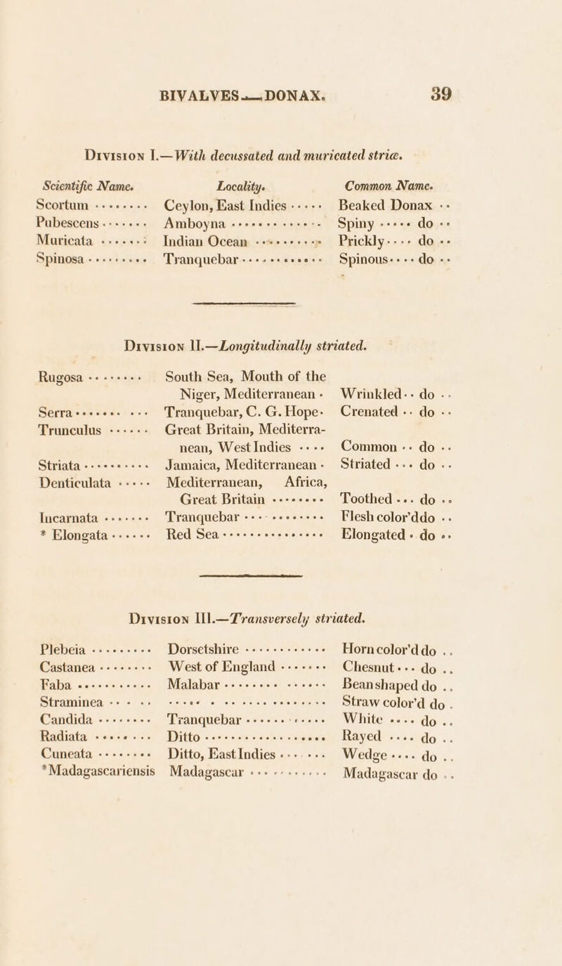 Drviston 1L—With decussated and muricated stria. Scientific Name. Locality. Common Name. Scortum ---++-+-. Ceylon, East Indies -- - -- Beaked Donax -- Pubescens ------- Amboyna -++++++++++-- Spiny --+++ do «= Muricata ----+- * Indian Ocean --++++-+++» Prickly---- do -- Spinosa -+-+++.0- Tranquebar ---+ ++ eoees- Spinous----do-- Division U.—Longitudinally striated. Rugosa «+ «+++-+ South Sea, Mouth of the Niger, Mediterranean- Wrinkled-- do -- Serra++++e+. +.» Tranquebar,C.G.Hope- Crenated -. do -- Trunculus ------ Great Britain, Mediterra- nean, WestIndies ---- Common -:- do -- Striata -++++2+«+- Jamaica, Mediterranean- Striated --- do -- Denticulata ----- Mediterranean, Africa, Great Britain -----+++- Toothed --. do -« Incarnata --+-+++- Tranquebar -----+++-++s Flesh color'ddo .- * Elongata ------ Red Sea--+-++e+- seeeee Elongated + do »- Diviston Ll].—Transversely striated. Plebeia --------> Dorsetshire +--+ ++-+++e- Horncolor’ddo . Castanea ---+++++ West of England ------- Chesnut++- do .. IAA) aiesietsten eis ote IN FiblinieDonoGocL opnooe Bean shaped do .. Straminea ++ - ++ ssa eee eee ceeeee++ Strawcolor'd do . Gandidaiee: =i Tranquebar Bia teietetelr aooen \WitiG noon dor: Radiata Roono gos | ID sii honouno condo c ainveie Rayed seer do... Cuneata ---+-+6 Ditto, East Indies .-..-.- Wedge --»- do .. * 7 1c Madagascariensis Madagascar --- ---+---- Madagascar do