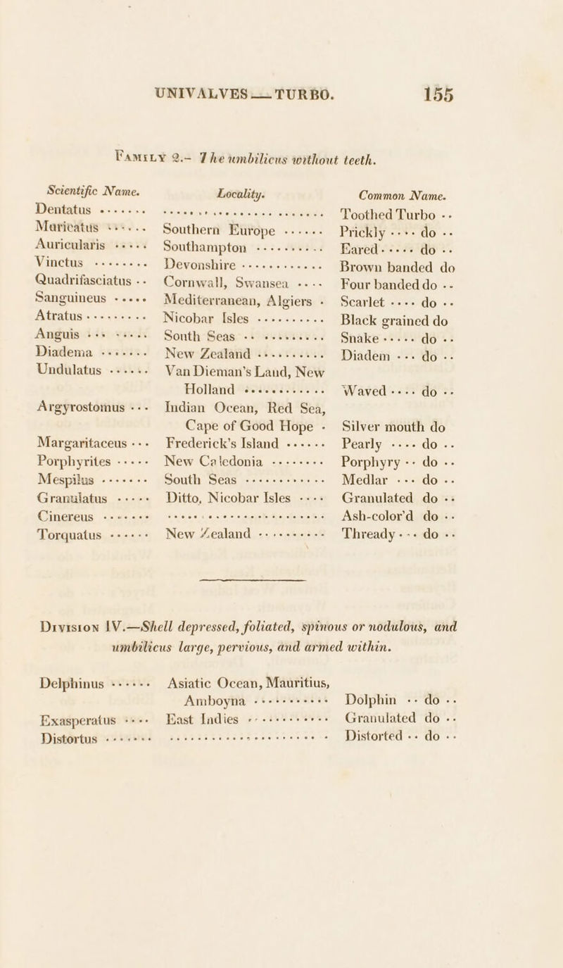 Famity 2.- The umbilicus without teeth. Scientific Name. Locality. Common Name. Deniatus: o.&lt;.2.% Silas Si'ei0) pus osfaies wha vatlaluyela a crekemeteeers Toothed Turbo -- Marivatus +++... Southern Europe -.--.- Prickly --++ do -- Auricularis +++-. Southampton ----.++... Eared----- do -- Vinetus -----... Devonshire ---....-.... Brown banded do Quadrifasciatus -- Cornwall, Swansea ---- Four banded do -- Sanguineus ---.. Mediterranean, Algiers - Scarlet ---- do -- Atratus ---+-++-- Nicobar Isles ---.-.---. Black grained do Anguis VWabe Ws REN Sonth Seas - tose hie... Snake --.-. aoe Diadema ------. New Zealand .+........ Diadem --- do -- Undulatus --.... Van Dieman’s Land, New Holland teenerer street Waved---. do- Argyrostomus --- Indian Ocean, Red Sea, Cape of Good Hope - Silver mouth do Margaritaceus --- Frederick’s Island ------ Pearly ---- do.. Porphyrites ----- New Caledonia -------- Porphyry -- do - Mespilus ------- South Seas ---+++-+-++-- Medlar --- do - Granulatus ----- Ditto, Nicobar Isles ---- Granulated do -- CiMmereus «2622s 8008s 0 eo =e siete te cle alc Ash-color’d do - Torquatus -+++-: New “Zealand --.----+-- Thready --- do - Division 1V.—Shell depressed, foliated, spinous or nodulous, and umbilicus large, pervious, and armed within. Delphinus ---+-- Asiatic Ocean, Mauritius, Amboyna -+++++++++s Dolphin -- do -. Exasperatus ++-- Hast Indies «--+++++++-+ Granulated do -. Distortus «-+s2 e+ cece cece cern eee ereees - Distorted-- do--