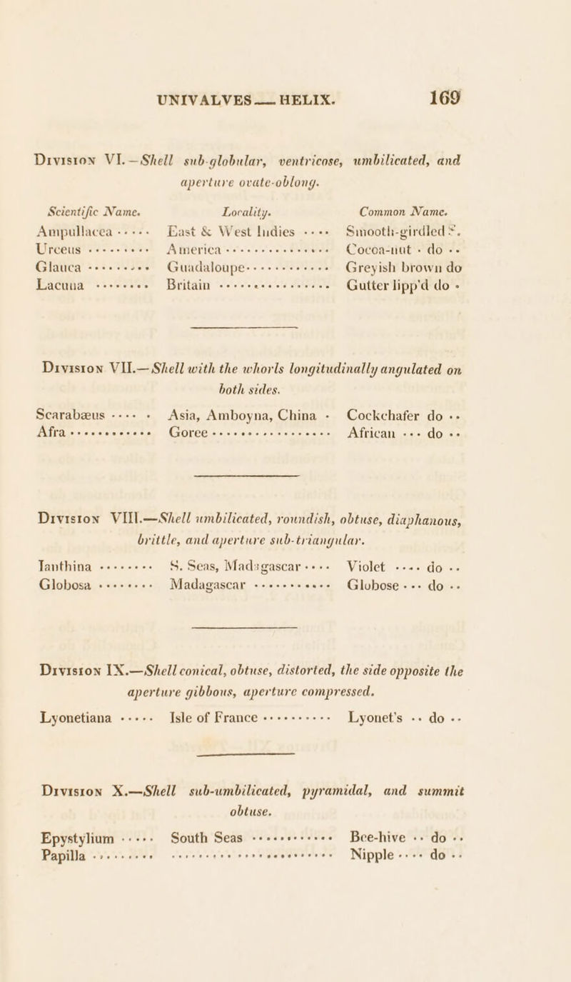 Diviston VI.—Shell sub-globular, ventricose, umbilicated, and aperture ovate-oblong. Common Name. Scientific Name. Locality. Ampullacea --+-- East &amp; West lidies ---- Smooth-girdled &gt;. Urceus «+++ eee America se eeer seers «++ Cocoa-nut + do -- Glauca -+++++-+ + Guadaloupe---++++++++- Greyish brown do Lacuia +-++-+6s Britain ----- test eneeee Gutter lipp'd do - Diviston VII.— Shell with the whorls longitudinally angulated on both sides. Scarabeeus ---- - Asia, Amboyna, China - UCAasciavicsiaieniwcam JGCOREG A cisiclvinte site cielersialske Cockchafer do -- African --- do «&gt; Diviston VILI.—Shell umbilicated, roundish, obtuse, diaphanous, brittle, and aperture sub-triangular. S. Seas, Madagascar ---- Violet ---. do-- Tanthina +++--++- Madagascar ----+++- Sue Aioxenuiaiowe Globosa +++++-+: Diviston 1X.—Shell conical, obtuse, distorted, the side opposite the aperture gibbous, aperture compressed. Lyonet’s -- do - Lyonetiana ----- Isle of France -+++++---- Diviston X.—Shell sub-wmbilicated, pyramidal, and summit obtuse. Epystylium ----- South Seas -+++++++++++ Bee-hive +» do «&gt; Papilla &lt;4 10)'»,.chers MH atelstels s gle utis ve wiptetetensetetera'c Nipple eves GO +e