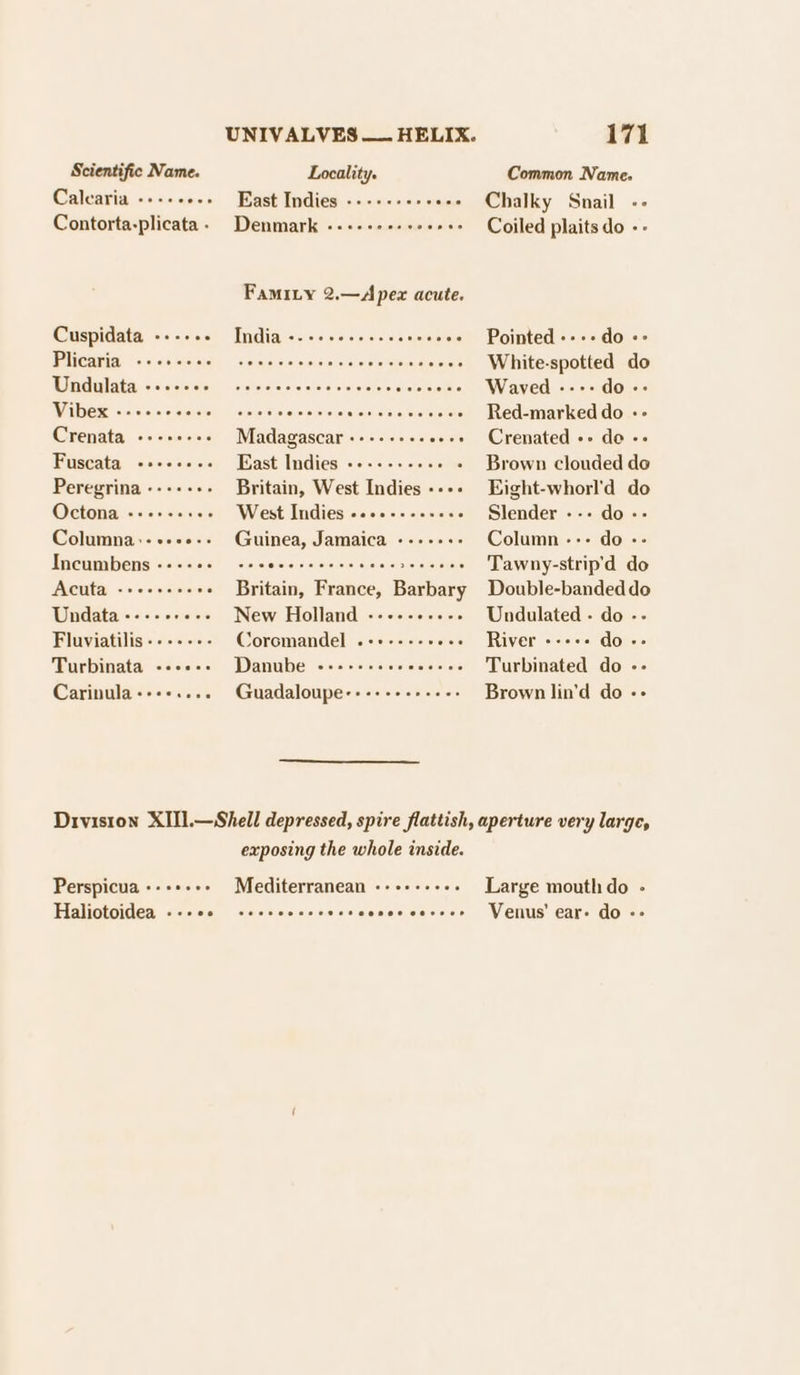 Scientific Name. Locality. GCalearia: «i, scccees LDS al bile ita MOO OU OU OO ORO Contorta-plicata: Denmark «-+-+++++seees Famity 2.—Apex acute. Cuspidata pietafetard irc aitsteteietetviececstcreststarate . Pieaiias ccreciaere | sieeve eietelescmigte pion eeiee MU ta lata siarsercteran” civtersjovste aie owterelevereetetereerete Wilt aepaoanaanad Migaacsoogogc Gleislwiuye:eyetsietete Grenata . «cies Madagascar avateiehersveteysietore IPustata. cscs) ais BASH ATIGUGS) wle)stalels lever eta . Peregrina ---+++- Britain, West Indies ---- Wetonaecs 1c eruele Wierik tts)oocded550000 Columna:-++e+s-- is ee Jamaica +-+++.. Incumbens eiatctatisiat? | colslesaivieialal svaselel euelaieia is aieleiele Acuta -++eesseee Britain, France, Barbary Undata-----+--- New Holland ------..-. Fluviatilis------- Coromandel .++----+++. Turbinata --ces-. Whine GoacGoousngcs65 Carinula-+++.... Guadaloupe------------ Common Name. Chalky Snail -- Coiled plaits do -- Pointed ---- do «= White-spotted do Waved ----do-- Red-marked do -- Crenated -- de -- Brown clouded do Kight-whorl'd do Slender --- do-- Column --- do - eneaup d op Double-banded do Undulated - do -- River do -- Turbinated do -- Brown lin’d do -- exposing the whole inside. Mediterranean Perspicua «-+++- Haliotoidea - -- Large mouthdo - Venus’ ear- do -&gt;