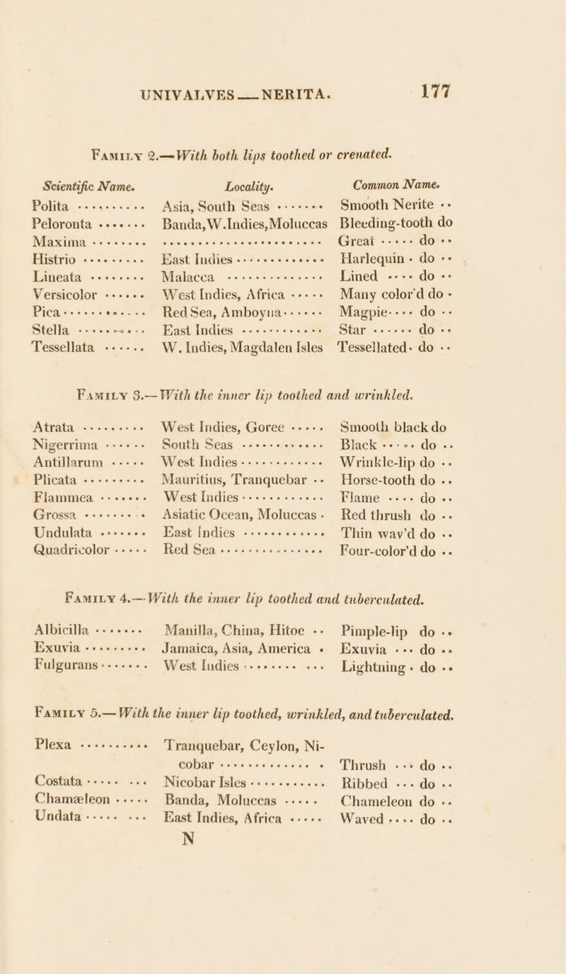 Famity 2.—With both lips toothed or crenated. Scientific Name. Locality. Common Name. Polita -+++++++-- Asia, South Seas --+++++ Smooth Nerite -+ Peloronta -----.- Banda,W.Indies,Moluccas Bleeding-tooth do Maxima secercss seccwncwenscccvoccicves Great --.:-- do «&gt; Histrio «-+.-+-.&lt; Bast Indies --2 6-0-0 0cs Harlequin + do -- Werneata. (ssa sec. Malacca -+-++s+--+xccese Lined ---- do-=&gt; Versicolor ----+- West Indies, Africa ----- Many color'd do - Pica-+++-+- te---+ RedSea, Amboyna-:---: Magpie: -++ do -- Stella «- «ee: Sese Past Indies .oc-7- ss corte SiGhe ooo uL dov-= Tessellata ----.. W. Indies, Magdalen Isles Tessellated- do -- FamiLy 3.— With the inner lip toothed and wrinkled. Atrata ---+-e6++ West Indies, Goree ----. Smooth black do Nigerrima ------ South Seas --++++++++-- Black ----+ do +. Antillarum ----- West Indies --+++--+++-- Wrinkle-lip do -- Plicata ---+----- Mauritius, Tranquebar -- Horse-tooth do -- Flammea --+-+-- West Indies---+----+++-- Flame ---- do. Grossa ++++++s - Asiatic Ocean, Moluccas. Red thrush do -- Undulata ---+---- East Indies «--+-++..++-. : Thin wav'd do -- Quadricolor ----- Red Sea -+-+-+seeeeeeee Four-color’d do -+ Famity 4.— With the inner lip toothed and tuberculated. Albicilla --+++-- Manilla, China, Hitoe -- Pimple-lip do -+ Exuvia -+++-+++- Jamaica, Asia, America - Exuvia --- do + Fulgurans----.-. West ludies:--++-++ ... Lightning « do -. Famity 5.— With the inner lip toothed, wrinkled, and tuberculated. Plexa --+--.-.- - Tranquebar, Ceylon, Ni- (ol oh Anaad eeO Deep - Thrush --+ do-- Costata +--+. ..- Nicobar Isles --+---+++--- Ribbed --- do - Chameleon ----- Banda, Moluccas -.--.- Chameleon do -- Undata--... ... Kast Indies, Africa ----- Waved---. do &gt;. N