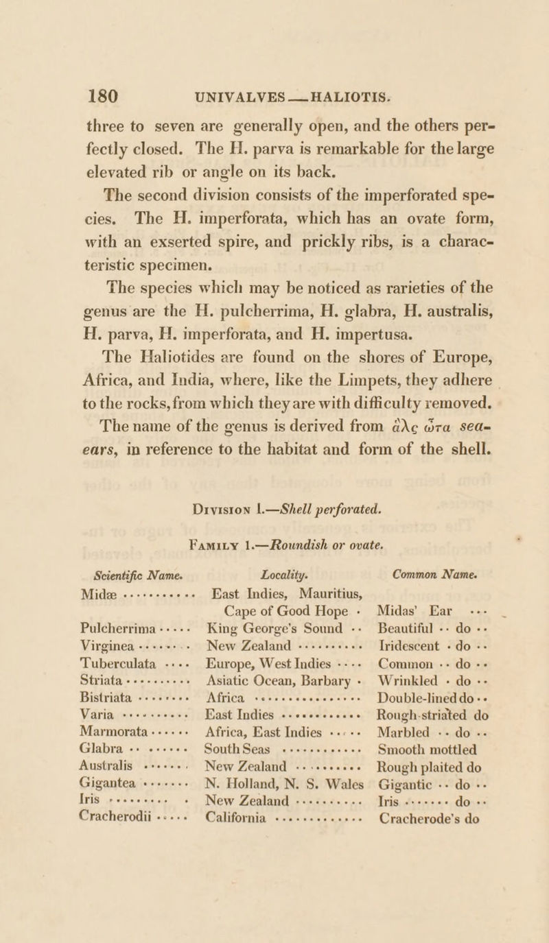 three to seven are generally open, and the others per- fectly closed. The H. parva is remarkable for the large elevated rib or angle on its back. The second division consists of the imperforated spe- cies. The H. imperforata, which has an ovate form, with an exserted spire, and prickly ribs, is a charac- teristic specimen. The species which may be noticed as rarieties of the genus are the H. pulcherrima, H. elabra, H. australis, H. parva, H. imperforata, and H. impertusa. The Haliotides are found on the shores of Europe, Africa, and India, where, like the Limpets, they adhere to the rocks, from which they are with difficulty removed. The name of the genus is derived from ac dra sea= ears, in reference to the habitat and form of the shell. Diviston |.—Shell perforated. Famity 1.—Roundish or ovate. Scientific Name. Locality. Common Name. Midze ---+++++0-- East Indies, Mauritius, Cape of Good Hope - Midas’ Ear Pulcherrima ----- King George's Sound -- Beautiful -- do -- Virginea ----+-.- New Zealand ---++++.+- Iridescent - do -- Tuberculata -.-- Europe, West Indies ---- Common -- do -+ Striata +-+-.+++++ Asiatic Ocean, Barbary - Wrinkled - do -- Bistriata «--++-+- Africa verses eeeeeeeree Double-lined do -- Varia «+++ +++ee- Bast Indies ++ «+++... -» Rough-striated do Marmorata---+ «+ Africa, East Indies -.:-- Marbled -- do - Glabra «+ «++++- South Seas «-+--++.-+-+- Smooth motied’ Australis «+++... New Zealand --+++++.+ Rough plaited do Gigantea «------ N. Holland, N. S. Wales Gigantic -- do -- iS apreteteretern dee &gt; New Zealand «0 ¢0.c5,+00 Tris, efucce ee do -- Cracherodii ----- California .-2-+.0.ceses Cracherode’s do