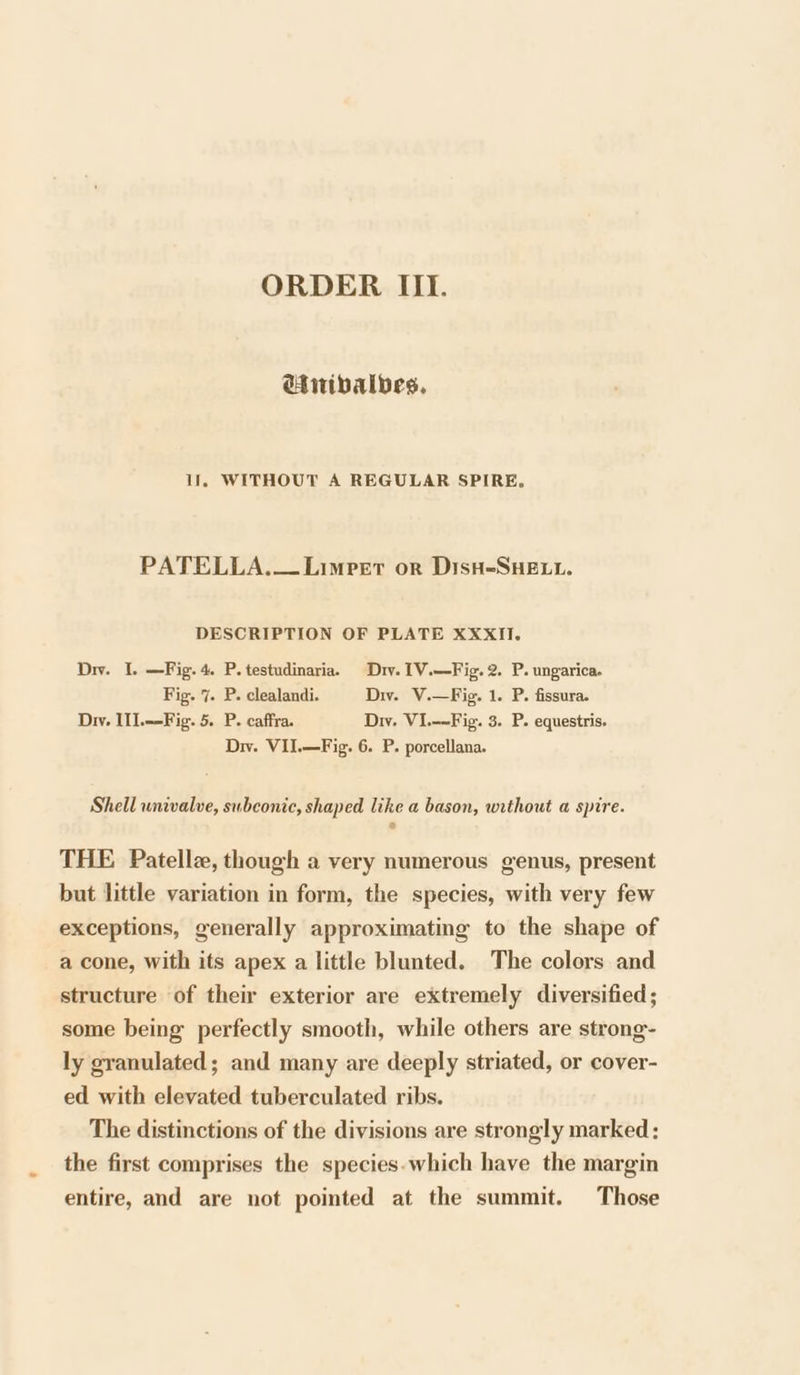 ORDER III. etiribalbes, If, WITHOUT A REGULAR SPIRE. PATELLA.—Limpet or Disu-SuHe.. DESCRIPTION OF PLATE XXXII. Diy. I. —Fig.4. P.testudinaria. Diy. 1V.—Fig.2. P. ungarica. Fig. 7. P. clealandi. Div. V.—Fig. 1. P. fissura. Div. Il].--Fig. 5. P. caffra. Dw. VI.-~Fig. 3. P. equestris. Div. VII.—Fig. 6. P. porcellana. Shell univalve, subconic, shaped like a bason, without a spire. ° THE Patellz, though a very numerous genus, present but little variation in form, the species, with very few exceptions, generally approximating to the shape of a cone, with its apex a little blunted. The colors and structure of their exterior are extremely diversified; some being perfectly smooth, while others are strong- ly granulated; and many are deeply striated, or cover- ed with elevated tuberculated ribs. The distinctions of the divisions are strongly marked: the first comprises the species.which have the margin entire, and are not pointed at the summit. Those