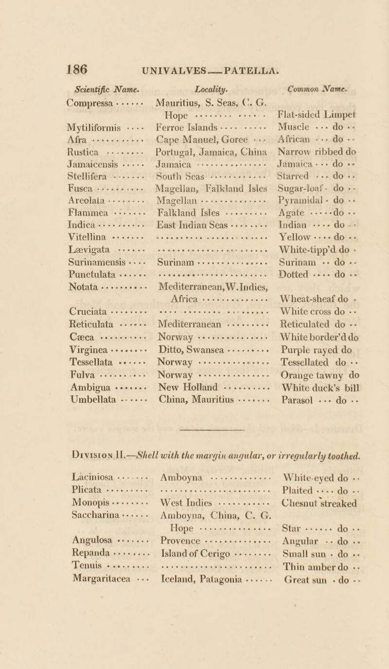 Scientific Name. Compressa + +++ +&gt; Mytiliformis ---- Afra Rustica Jamaicensis --+-- Stellifera Puastas fea halown, Areolala -------- Flammea Indica-:--- ovate Vitellina Levigata Surinamensis -- - - Punctulata ---.-- ee ee eeene Reticulata Oreta) wemiideastes Virginea sweneecs Tessellata -+---&gt; Fulva Ambigua eeeneces Umbellata ------ ee er ey Locality. Common Name. Mauritius, S. Seas, C. G. Hope -+-+++-+ ers - Flat-sided Limpet Ferroe Islands ---- +--+. Muscle --- do- Cape Manuel, Goree --- African --- do - Portugal, Jamaica, China Narrow ribbed do VOINRIGH Sern isle eo) ma 2 s%s)ela ia Jamaica--+ do «+ South Seas «+++++++ ees Starred --- do-. Magellan, Falkland Isles Sugar-loaf- do - Magellan --++++-+-+++++- Pyramidal - do -- Falkland Isles ----+.--- Agate +--+ do -- East Indian Seas --------+ Indian ---+ do.- Sin Biers ejere rice basa ss Yellow = shore ae are cath ve hoo White- tipp'd came Surinam ----+-+-++-- sore» Surinam -- do- Nalee ctvelaa ve nisin dete Buh oa Meditcute ci ,W. Indies, Africa -+++++euseseee Wheat-sheaf do - Bae sieterare ciatele asia aniare -- White cross do -- Mediterranean --------- Reticulated do -- Norway ++-eeeeeeeeeeee White border’d do Ditto, Swansea -----++-++ Purple rayed do Norway -+--++++-- e-++- Tessellated do -- Norway +++++rere sree ee Orange tawny do New Holland ----..-..- White duck’s bill China, Mauritius -----.. Parasol -+- do -- Laciniosa ---.-.- PliGdta arch. ote Monopis «+--+ +--+ Saccharina:----- Angulosa +++... Tenis, juss Shae Margaritacea --- Amboyna ----++++++++- White-eyed do - oe o's 6 dis e's sah sie (agen) sain, 5) &gt; 5 Plaited .--. do West Indies .-.-...+.-- Chesnut streaked Amboyna, China, C. G. ope Be oe ee oe Star «++... do -- Provence ++ ++++s+s+eee Angular -- do -- Island of Cerigo -+------ Small sun - do -- 0 6.0.5 apse, 0f6 (i eWIB eas aralee sis Thin amber do -- Iceland, Patagonia ------ Great sun - do -