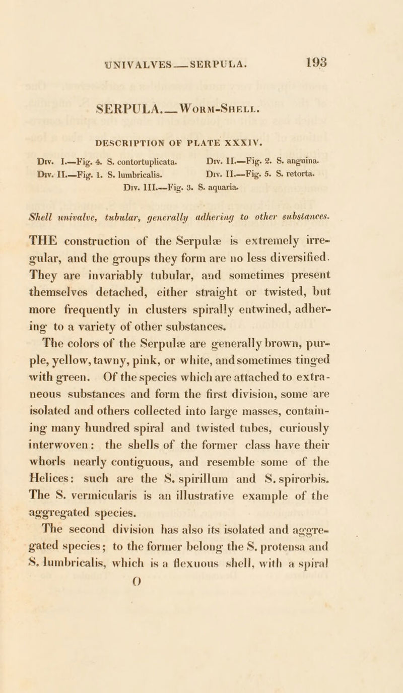 UNIVALVES_—SERPULA. 1938 SERPULA.— WormM-SHELL. DESCRIPTION OF PLATE XXXIV. Div. I.—Fig. 4. S. contortuplicata. Dw. Il.—Fig. 2. S. anguina. Div. Il.—Fig. 1. S. lumbricalis. Dw. Il.—Fig. 5. S. retorta. Div. 11].—Fig. 3. 5. aquaria. Shell univalve, tubular, generally adhering to other substances. THE construction of the Serpule is extremely irre- gular, and the groups they form are no less diversified. They are invariably tubular, and sometimes present themselves detached, either straight or twisted, but more frequently in clusters spirally entwined, adher- ing to a variety of other substances. The colors of the Serpule are generally brown, pur- ple, yellow, tawny, pink, or white, and sometimes tinged with green. Of the species which are attached to extra- neous substances and form the first division, some are isolated and others collected into large masses, contain- ing many hundred spiral and twisted tubes, curiously interwoven: the shells of the former class have their whorls nearly contiguous, and resemble some of the Helices: such are the S. spirillum and S. spirorbis. The S. vermicularis is an illustrative example of the aggregated species. The second division has also its isolated and aggre- gated species; to the former belong the S. protensa and S. lumbricalis, which is a flexuous shell, with a spiral