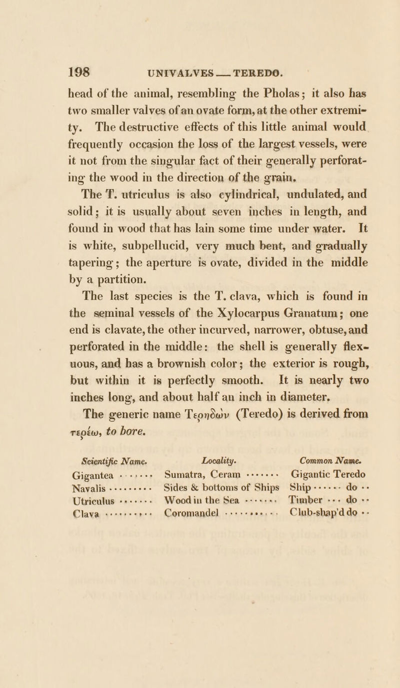 head of the animal, resembling the Pholas; it also has two smaller valves of an ovate form, at the other extremi~ ty. The destructive effects of this little animal would frequently occasion the loss of the largest vessels, were it not from the singular fact of their generally perforat- ing the wood in the direction of the grain, The T. utriculus is also cylindrical, undulated, and solid; it is usually about seven inches in length, and found in wood that has lain some time under water. It is white, subpellucid, very much bent, and gradually tapering; the aperture is ovate, divided in the middle by a partition. The last species is the T. clava, which is found in the seminal vessels of the Xylocarpus Granatum; one end is clavate, the other incurved, narrower, obtuse, and perforated in the middle: the shell is generally flex- uous, and has a brownish color; the exterior is rough, but within it is perfectly smooth. It is nearly two inches long, and about half an inch in diameter, The generic name Teondwv (Teredo) is derived from TEOEW, to bore. Scientific Name. Locality. Common Name. Gigantea ---+-:- Sumatra, Ceram -----+- Gigantic Teredo Navalis -+-+-+++- Sides &amp; bottoms of Ships Ship ------ do -- Utriculus -+----- Wood in the Sea ---+--- Timber --- do -- Clava ++++++- r+» Coromandel ----- see.+, Club-shap'ddo --