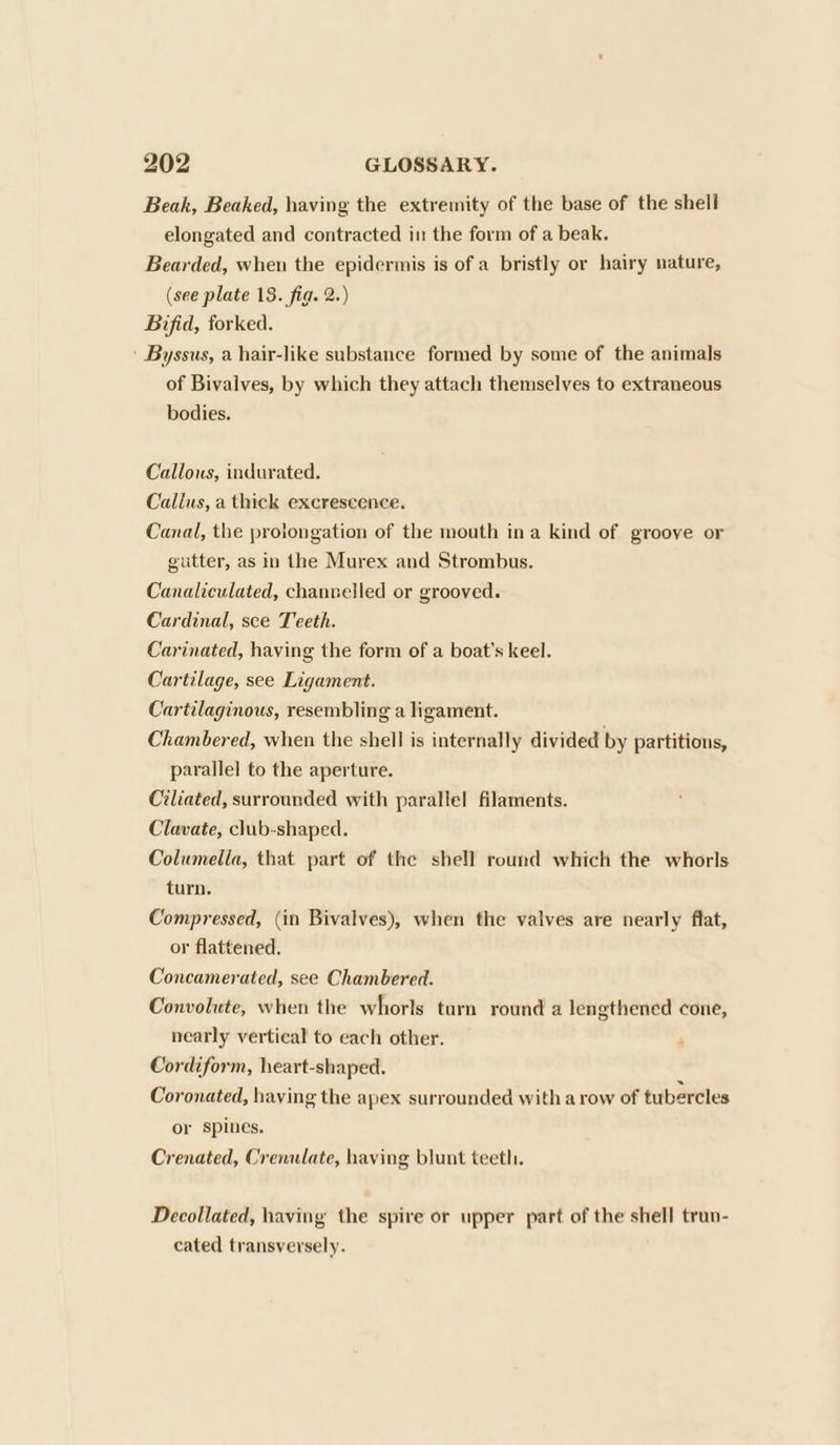 Beak, Beaked, having the extremity of the base of the shell elongated and contracted in the form of a beak. Bearded, when the epidermis is of a bristly or hairy nature, (see plate 13. fig. 2.) Bifid, forked. ' Byssus, a hair-like substance formed by some of the animals of Bivaives, by which they attach themselves to extraneous bodies. Callous, indurated. Callus, a thick excrescence. Canal, the prolongation of the mouth ina kind of groove or gutter, as in the Murex and Strombus. Canaliculated, channelled or grooved. Cardinal, sce Teeth. Carinated, having the form of a boat's keel. Cartilage, see Ligament. Cartilaginous, resembling a ligament. Chambered, when the shell is internally divided by partitions, parallel to the aperture. Ciliated, surrounded with parallel filaments. Clavate, club-shaped. Columella, that part of the shell round which the whorls turn. Compressed, (in Bivalves), when the valves are nearly flat, or flattened. Concamerated, see Chambered. Convolute, when the whorls turn round a lengthened cone, nearly vertical to each other. Cordiform, heart-shaped. Coronated, having the apex surrounded with a row of tubercles or spines. Crenated, Crenulate, having blunt teeth. Decollated, having the spire or upper part of the shell trun- cated transversely.