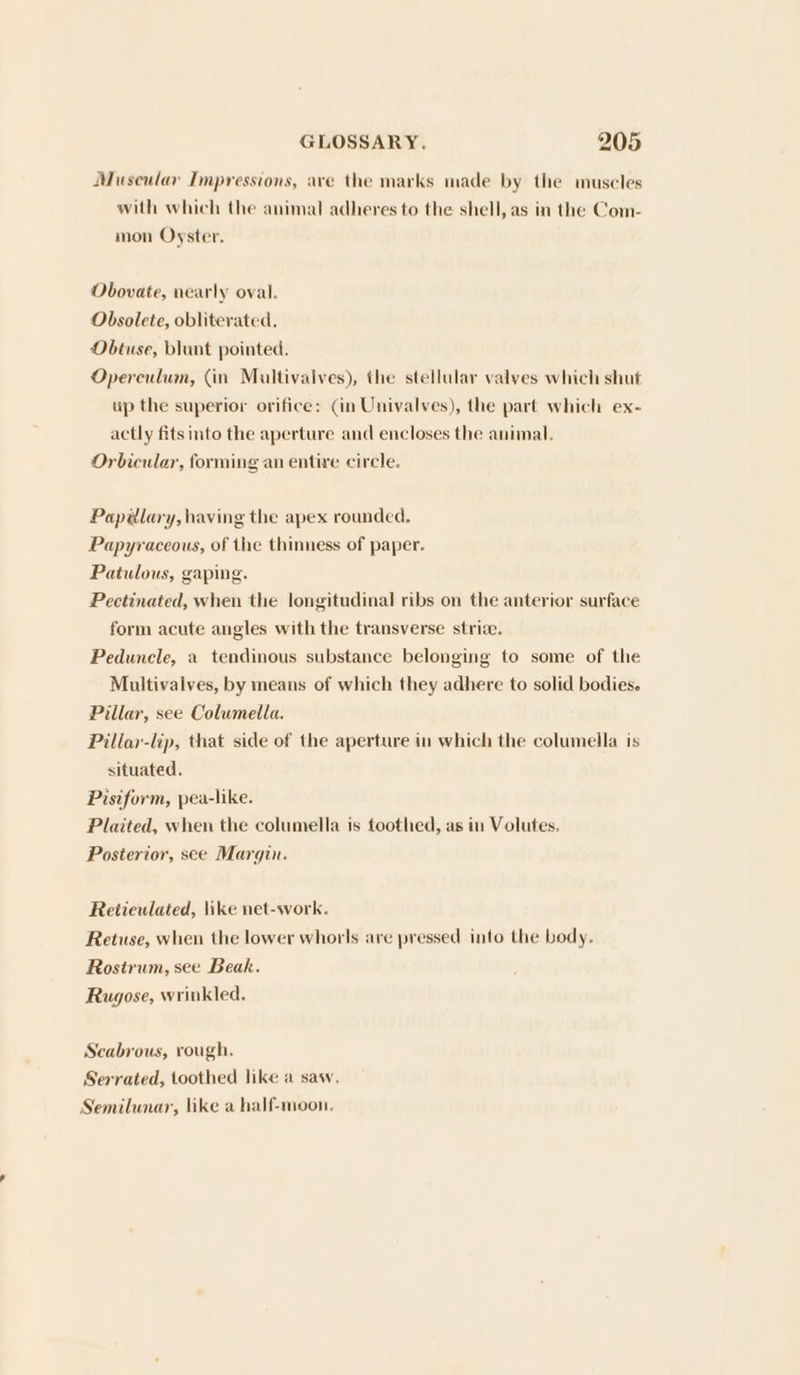 Muscular Impressions, ave the marks made by the muscles with which the animal adheres to the shell, as in the Com- mon Oyster. Obovate, nearly oval. Obsolete, obliterated. Obtuse, blunt pointed. Operculum, (in Multivalves), the stellular valyes which shut up the superior orifice: (in Univalves), the part which ex- actly fits into the aperture and encloses the animal. Orbicular, forming an entire circle. Papelary, having the apex rounded, Papyraceous, of the thinness of paper. Patulous, gaping. Pectinated, when the longitudinal ribs on the anterior surface form acute angles with the transverse striae. Pedunele, a tendinous substance belonging to some of the Multivalves, by means of which they adhere to solid bodies. Pillar, see Columella. Pillar-lip, that side of the aperture in which the columella is situated. Pisiform, pea-like. Plaited, when the columella is toothed, as in Volutes. Posterior, see Margin. Reticulated, \ike net-work. Retuse, when the lower whorls are pressed into the body. Rostrum, see Beak. Rugose, wrinkled. Scabrous, rough. Serrated, toothed like a saw. Semilunar, like a half-moon.