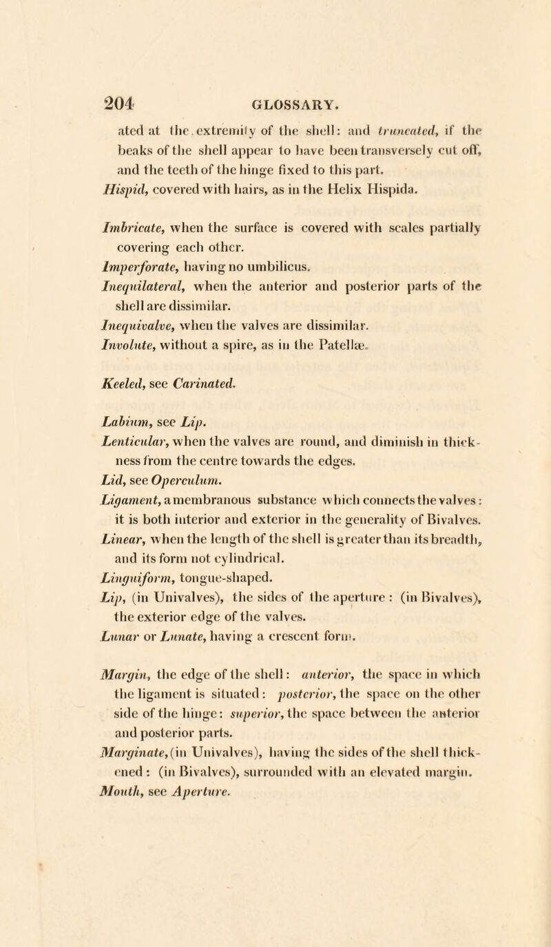 atcd at llic.extremity of the shell: and truncated, if the beaks of the shell appear to have been transversely cut off, and the teeth of the hinge fixed to this part. Hispid, covered with hairs, as in the Helix Hispida. Imbricate, when the surface is covered with scales partially covering each other. Imperforate, having no umbilicus. Inequilateral, when the anterior and posterior parts of the shell are dissimilar. Inequivalve, when the valves are dissimilar. Involute, without a spire, as in the Patellae. Keeled, sec Carinated. Labium, see Lip. Lenticular, when the valves are round, and diminish in thick¬ ness from the centre towards the edges. Lid, see Operculum. Ligament, a membranous substance which connects the valves: it is both interior and exterior in the generality of Bivalves. Linear, w hen the length of the shell is greater than its breadth, and its form not cylindrical. Linguiform, tongue-shaped. Lip, (in Univalves), the sides of the aperture : (in Bivalves), the exterior edge of the valves. Lunar or Lunate, having a crescent form. Margin, the edge of the shell: anterior, the space in which the ligament is situated: posterior, the space on the other side of the hinge: superior, the space between the anterior and posterior parts. Marginate,{\\\ Univalves), having the sides of the shell thick¬ ened: (in Bivalves), surrounded with an elevated margin. Mouth, see Aperture.