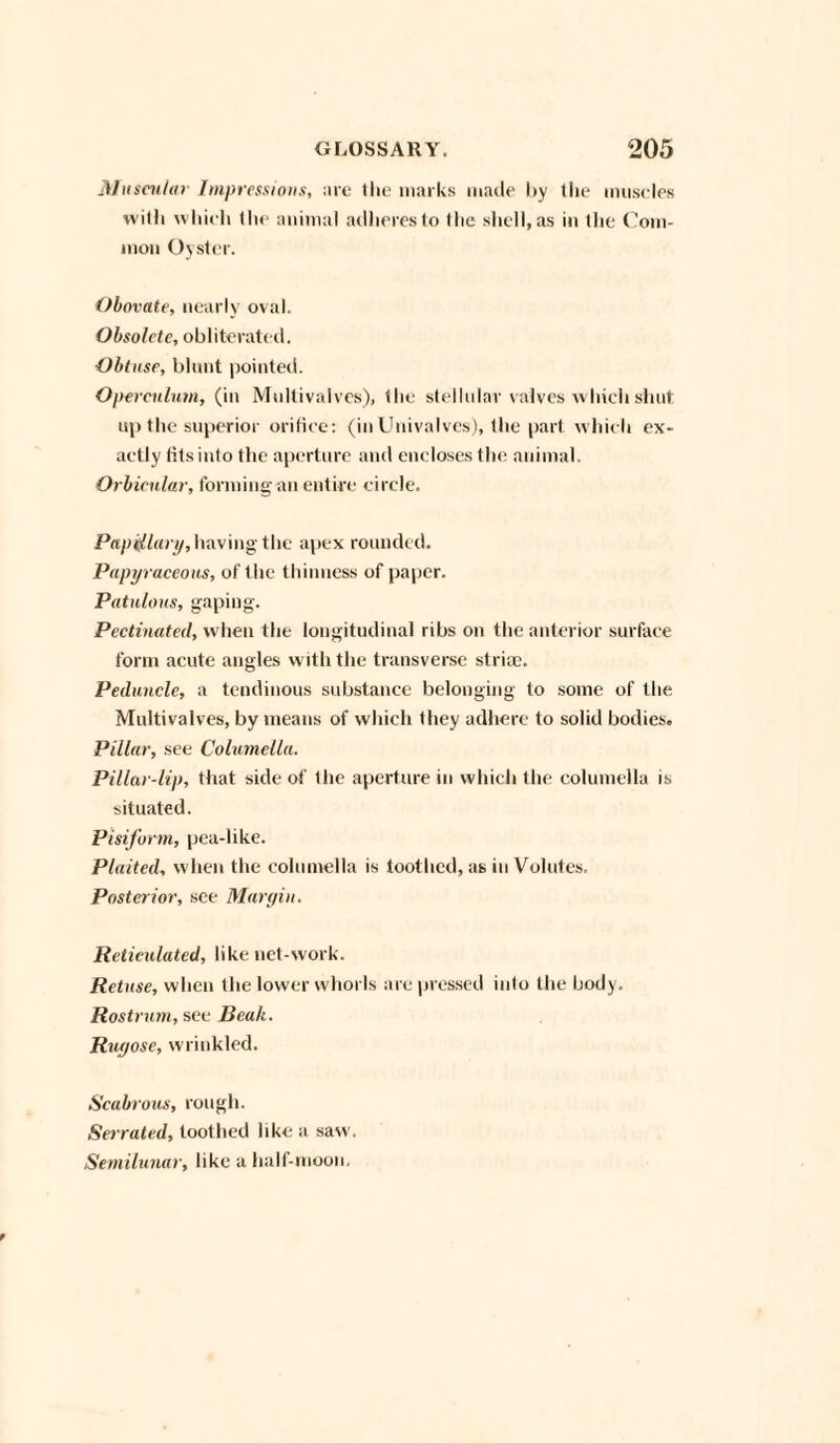 Muscular Impressions, are tlie marks made by the muscles with which tlx1 animal adheres to the shell, as in the Com¬ mon Oyster. Obovate, nearly oval. Obsolete, obliterated. Obtuse, blunt pointed. Operculum, (in Mnltivaives), the stellular valves which shut up the superior orifice: (in Univalves), the part which ex¬ actly fits into the aperture and encloses tin1 animal. Orbicular, forming an entire circle. Papillary, having the apex rounded. Papyraceous, of the thinness of paper. Patulous, gaping. Pectinated, when the longitudinal ribs on the anterior surface form acute angles with the transverse striae. Peduncle, a tendinous substance belonging to some of the Multi valves, by means of which they adhere to solid bodies. Pillar, see Columella. Pillar-lip, that side of the aperture in which the columella is situated. Pisiform, pea-like. Plaited, when the columella is toothed, as in Volutes, Posterior, see Mar yin. Reticulated, like net-work. Retnse, when the lower whorls are pressed into the body. Rostrum, see Beak. Ruyose, wrinkled. Scabrous, rough. Serrated, toothed like a saw'. Semilunar, like a half-moon.