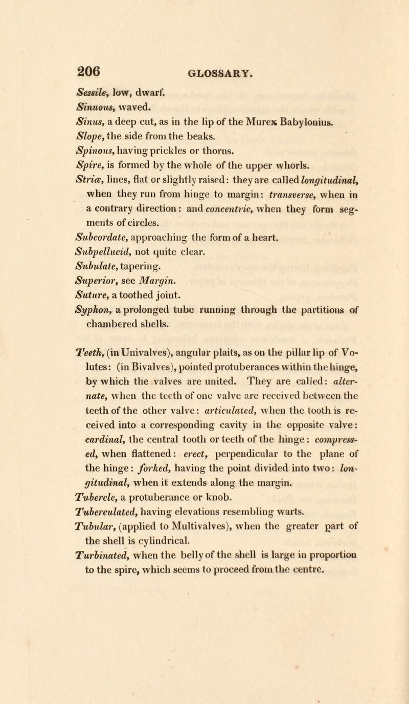 Sessile, low, dwarf. Sinuous, waved. Sinus, a deep cut, as in the lip of the Murex Babylonius. Slope, the side from the beaks. Spinous, having prickles or thorns. Spire, is formed by the whole of the upper whorls. Stria, lines, flat or slightly raised: they are called longitudinal, when they run from hinge to margin: transverse, when in a contrary direction : and concentric, when they form seg¬ ments of circles. Subcordate, approaching the form of a heart. Subpellucid, not quite clear. Subulate, tapering. Superior, see Margin. Suture, a toothed joint. Syphon, a prolonged tube running through the partitions of chambered shells. Teeth, (in Univalves), angular plaits, as on the pillar lip of Vo¬ lutes: (in Bivalves), pointed protuberances within the hinge, by which the valves are united. They are called: alter¬ nate, when the teeth of one valve are received between the teeth of the other valve: articulated, when the tooth is re¬ ceived into a corresponding cavity in the opposite valve: cardinal, the central tooth or teeth of the hinge: compress¬ ed, when flattened: erect, perpendicular to the plane of the hinge: forked, having the point divided into two: lon¬ gitudinal, when it extends along the margin. Tubercle, a protuberance or knob. Tuberculatcd, having elevations resembling warts. Tubular, (applied to Multivalves), when the greater part of the shell is cylindrical. Turbinated, when the belly of the shell is large in proportion to the spire, which seems to proceed from the centre.