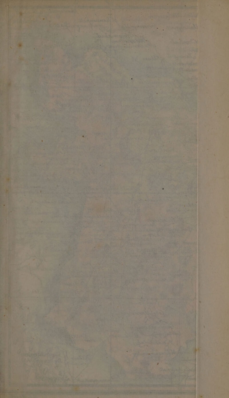 } ee — 2». . ms . ’ ‘ se mie ‘ nd est . » te 5 - as Pi ‘ ‘ ’ a ‘ ? a RS hs eee . * ae pam, &amp; nh ——— : ’ - a ‘ . , me » Sa . - ° E : . < of , ~~ P wera a yea a e : il > < m see ’ 4 ¢ * . \ + + - * at At fd . < : _ ¢ ‘ hae A y ee 7 4 7 | x a ¥ . 4 ' ae Le Sa = . ; L. I 4 » = § 4 - 4 be ; Pa. a t 5 a t. — me « > - 4 of - ee 4  L . 4 fey a arf, 7 ns bog a S ‘tit a lk i , el 2 ~ + : a eee ee ee ’ ane A f } ~! t . i. » E e re ‘ , a, ‘ “ = ’ ~ > . ‘ = : < som 4 none, _ ne a me Ce , , %. % oe e- : , ’ : P ba ‘ pr + f d . c C2 ae bee 40 a 4 , a + » : = < ‘ ; . ie ee VR my mae a : h 4 >. ’ 2 4 , s it: 7 4  u « : > Ab ' - 4 E . i 1 * f ’