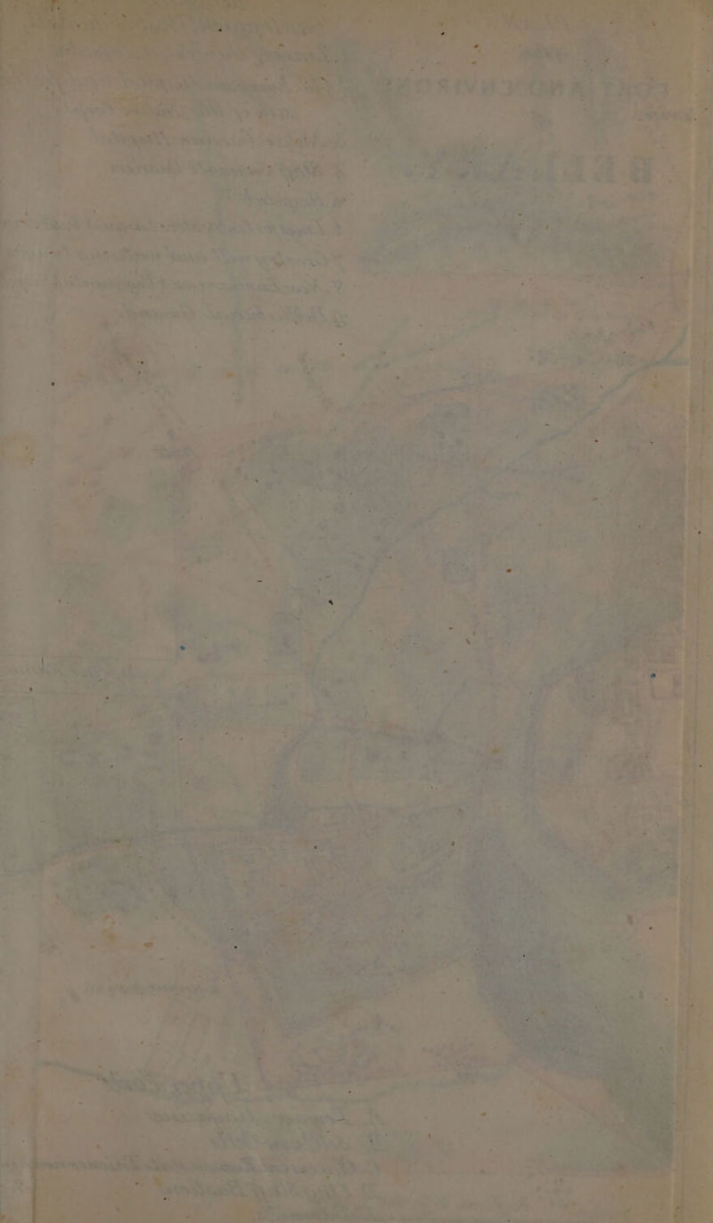 rae) ais oo. ae ~ ® r CR Bs nt We eae Dye! > prea ~ ? ced - 7 ; . : : Kea a> a 7 o Rae , 7. q » ; My re * eget aS ae sehen : 7