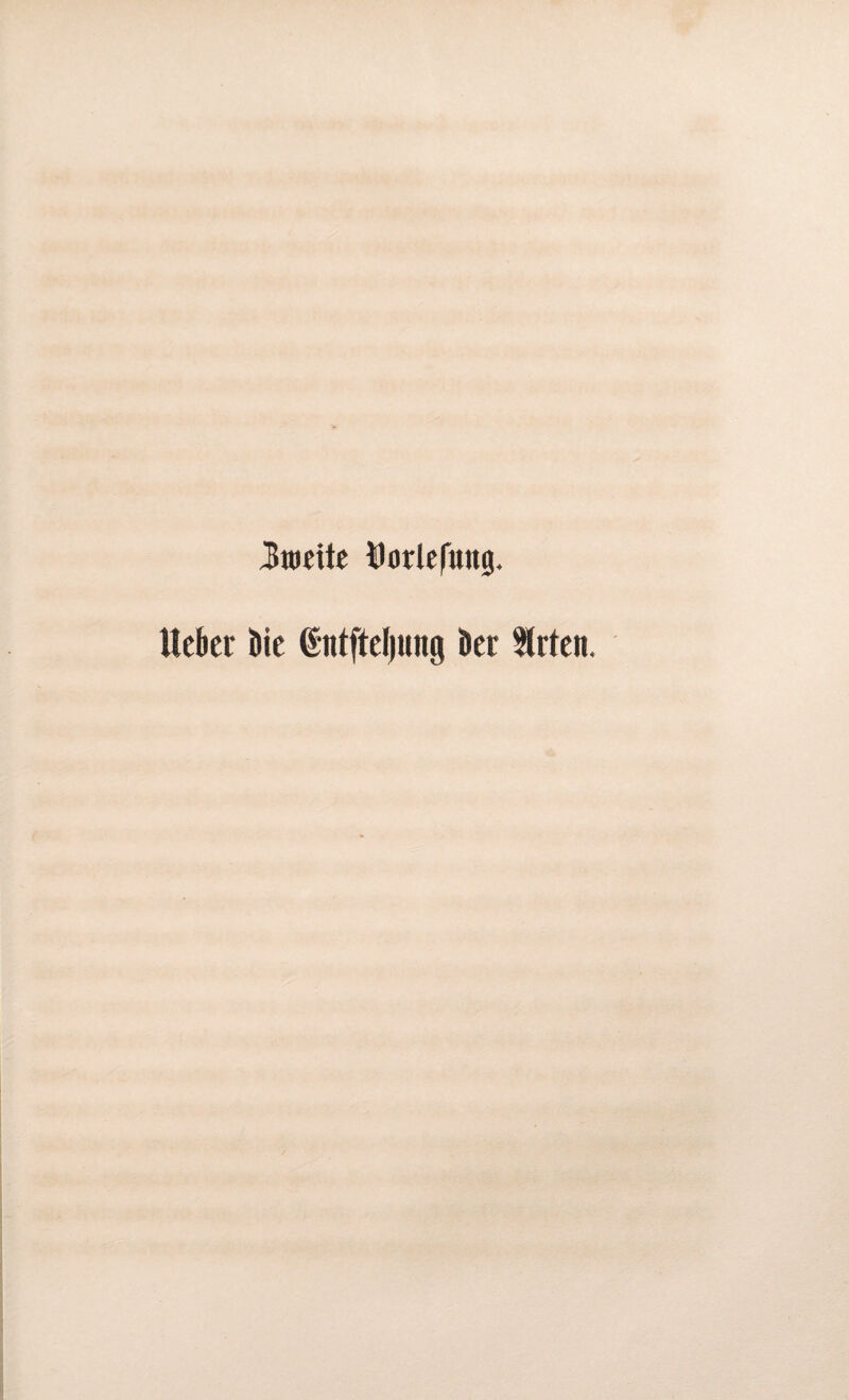Zweite Hörle Jung, Hebet Hie ©ntftefjung Her $rteit.