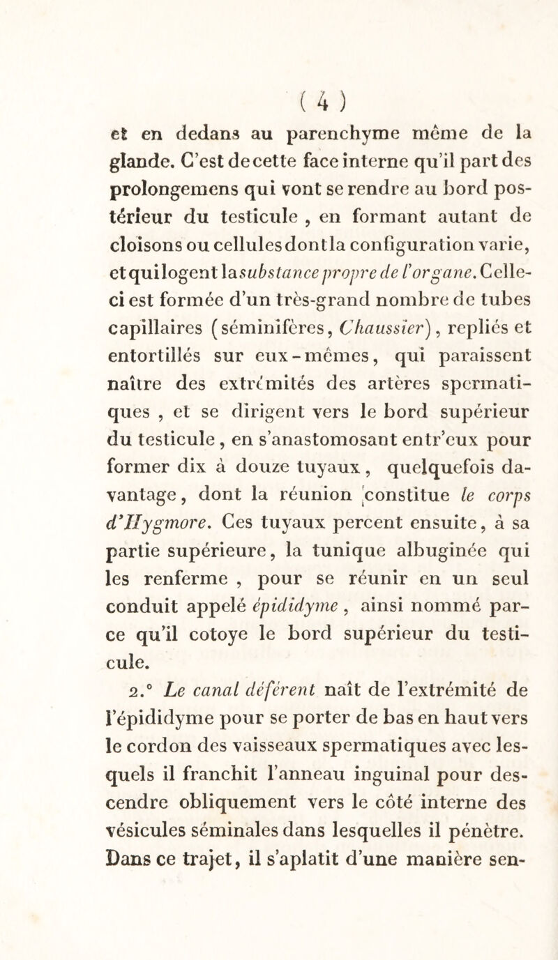 et en dedans au parenchyme meme de la glande. C’est de cette face interne qu’il part des prolongemens qui vont se rendre au bord pos¬ térieur du testicule , en formant autant de cloisons ou cellules dontla configuration varie, etquilogent la substance propre de /’organe. Celle- ci est formée d’un très-grand nombre de tubes capillaires (séminifères, Chaussier), repliés et entortillés sur eux-memes, qui paraissent naître des extrémités des artères spermati¬ ques , et se dirigent vers le bord supérieur du testicule, en s’anastomosant entr’cux pour former dix à douze tuyaux, quelquefois da¬ vantage , dont la réunion constitue le corps d'IIygmore. Ces tuyaux percent ensuite, à sa partie supérieure, la tunique albuginée qui les renferme , pour se réunir en un seul conduit appelé épididyme , ainsi nommé par¬ ce qu’il cotoye le bord supérieur du testi¬ cule. 2.° Le canal déférent naît de l’extrémité de l’épididyme pour se porter de bas en haut vers le cordon des vaisseaux spermatiques avec les¬ quels il franchit l’anneau inguinal pour des¬ cendre obliquement vers le côté interne des vésicules séminales dans lesquelles il pénètre. Dans ce trajet, il s’aplatit d’une manière sen-