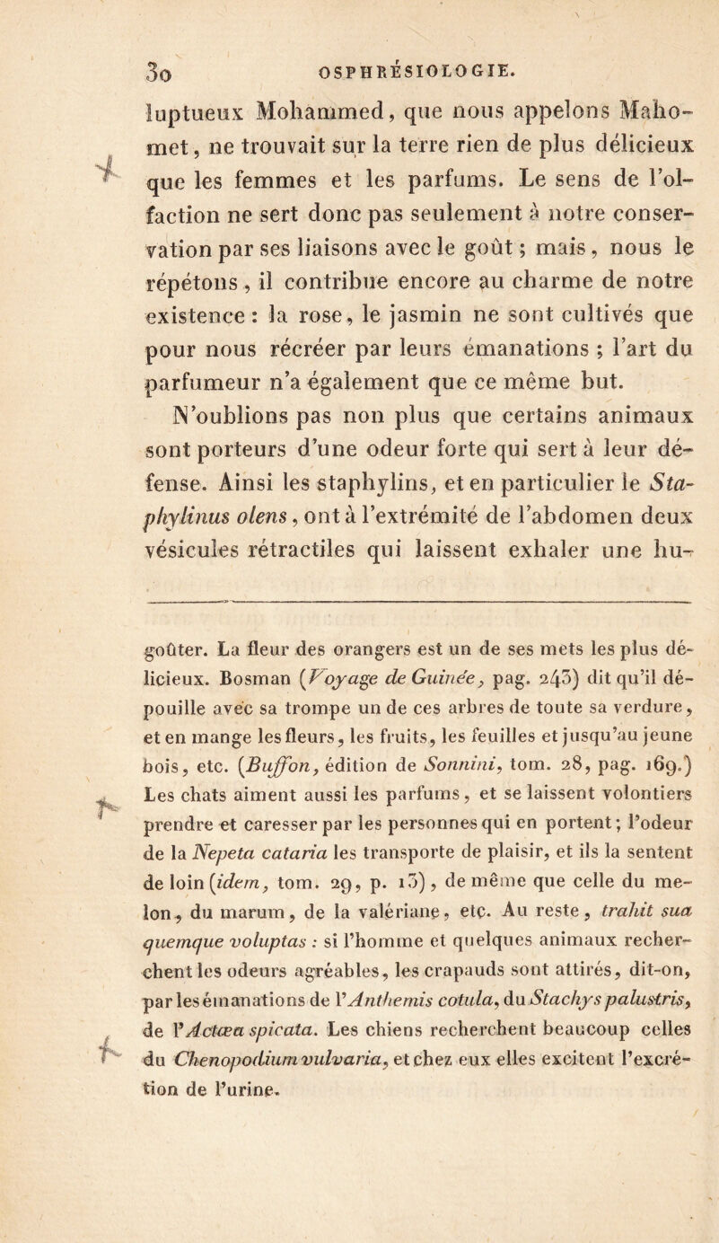 luptueux Mohammed, que nous appelons Maho- met , ne trouvait sur la terre rien de plus délicieux que les femmes et les parfums. Le sens de Fol- faction ne sert donc pas seulement à notre conser- vation par ses liaisons avec le goût ; mais, nous le répétons, il contribue encore au charme de notre existence: la rose, le jasmin ne sont cultivés que pour nous récréer par leurs émanations ; Fart du parfumeur n’a également que ce même but. N’oublions pas non plus que certains animaux sont porteurs d une odeur forte qui sert à leur dé- fense. Ainsi les staphylins, et en particulier le Sta- pkylinus olens, ont à l’extrémité de l’abdomen deux vésicules rétractiles qui laissent exhaler une hu- goûter. La fleur des orangers est un de ses mets les plus dé- licieux. Bosman {Voyage de Guinée, pag. 243) dit qu’il dé- pouille avec sa trompe un de ces arbres de toute sa verdure, et en mange les fleurs, les fruits, les feuilles et jusqu’au jeune bois, etc. (Bujfon, édition de Sonmni, tom. 28, pag. 169.) Les chats aiment aussi les parfums, et se laissent volontiers prendre et caresser par les personnes qui en portent; l’odeur de la Nepeta cataria les transporte de plaisir, et ils la sentent de loin [idem, tom. 29, p. i3), de même que celle du me- lon, du marum, de la valériane, etc. Au reste, trahit sua quemque voluptas : si l’homme et quelques animaux recher- chent les odeurs agréables, les crapauds sont attirés, dit-on, par les émanations de Y Anthémis cotula, du Stachys palusiris, de Y Actes a spicata. Les chiens recherchent beaucoup celles du Chenopoctiumvulvaria, et chez eux elles exciten t l’excré- tion de l’urine.