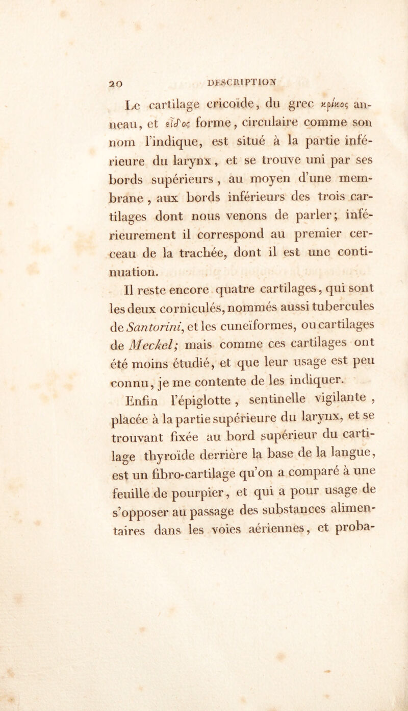 Le cartilage cricoïde, du grec xp/xoç an- neau, et elcToç forme, circulaire comme son nom l’indique, est situé à la partie infé- rieure du larynx, et se trouve uni par ses bords supérieurs , au moyen d’une mem- brane , aux bords inférieurs des trois car- tilages dont nous venons de parler; infé- rieurement il correspond au premier cer- ceau de la trachée, dont il est une conti- nuation. Il reste encore quatre cartilages, qui sont les deux corniculés, nommés aussi tubercules de Santorini,, et les cunéiformes, ou cartilages de Meckel; mais comme ces cartilages ont été moins étudié, et que leur usage est peu connu, je me contente de les indiquer. Enfin l’épiglotte , sentinelle vigilante , placée à la partie supérieure du larynx, et se trouvant fixée au bord supérieur du carti- lage thyroïde derrière la base de la langue, est un fibro-cartilage qu on a comparé à une feuille de pourpier, et qui a pour usage de s’opposer au passage des substances alimen- taires dans les voies aériennes, et proba-