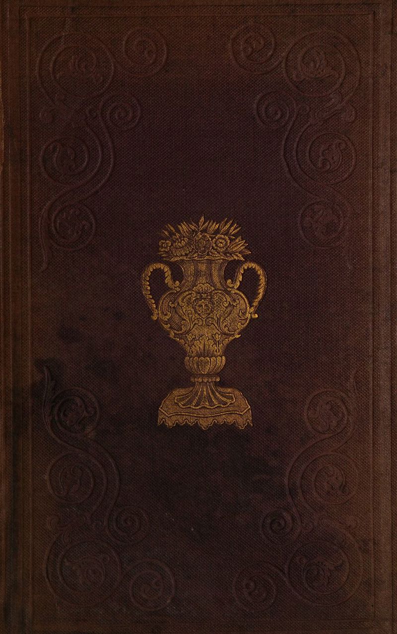 iy hie ea Mave eas i aieothe Ay f i thy i gioe Pht v3 2 é Naty hhh oh KAA AA, 8, ae ? rebelde peer i ae S . Mae