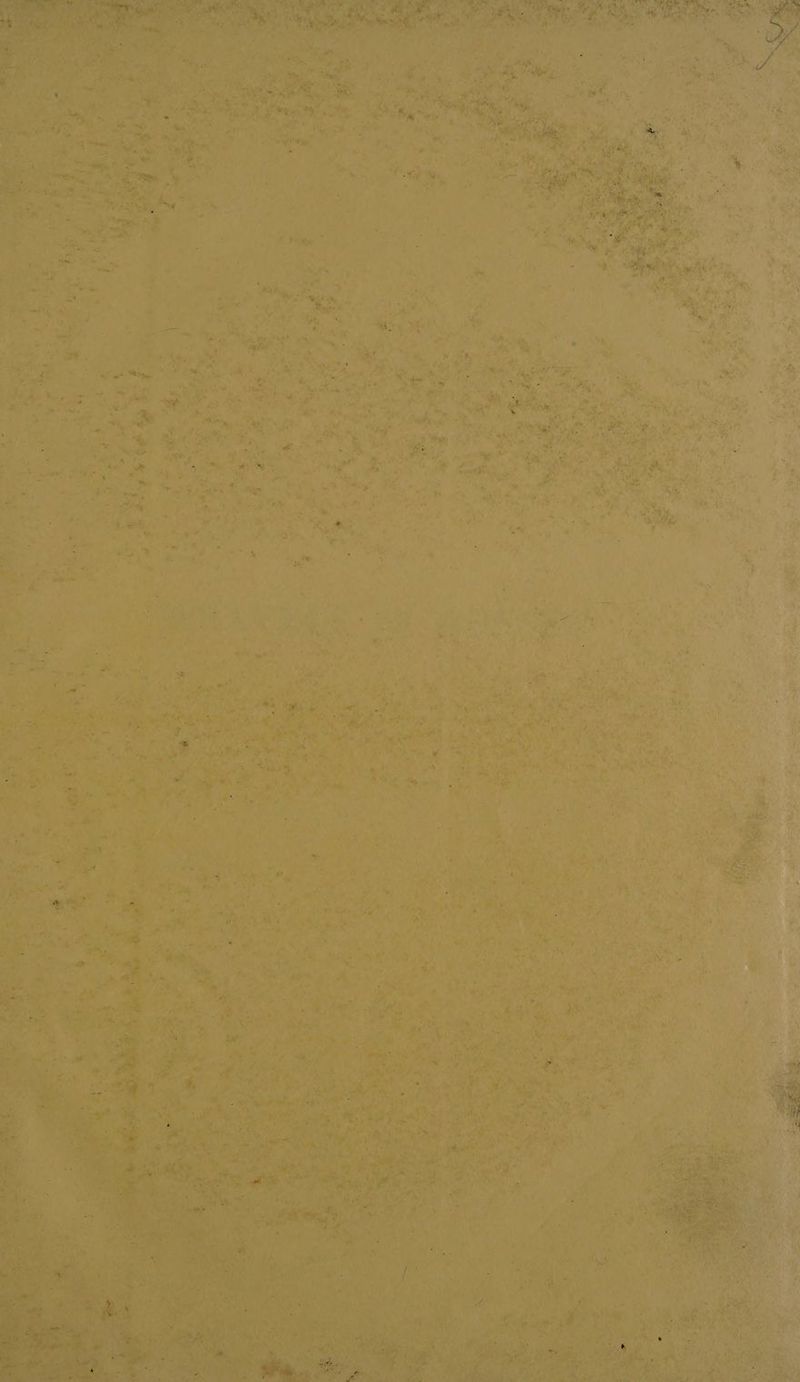 Lan Wes on Steet \ m oe Ee gee ae Pat ss “4 og. a “4 et meal : . f ut aes