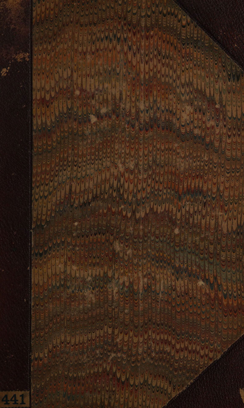 No text description is available for this image