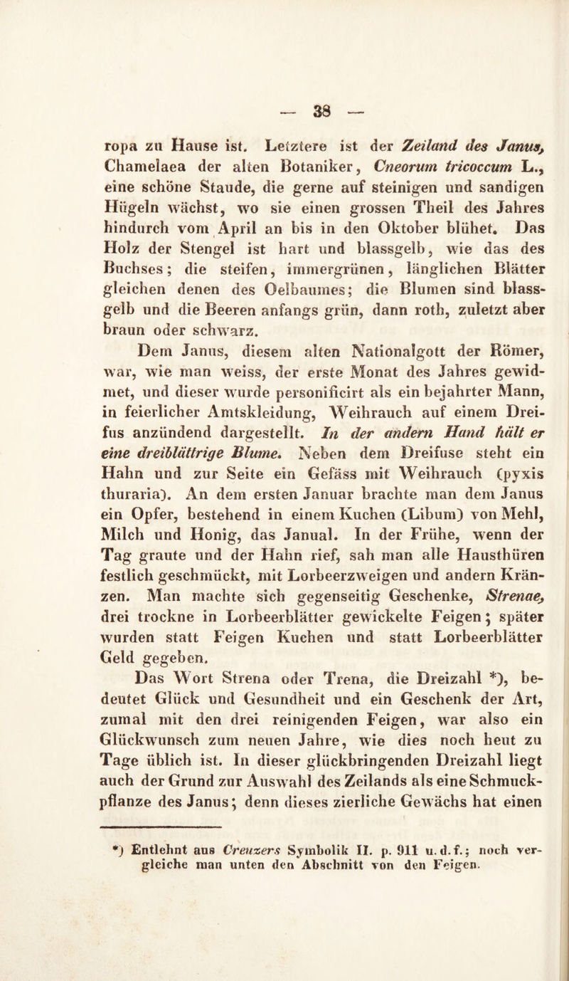 ropa zu Hause ist. Letztere ist der Zeiland des Janus, Chamelaea der alten Botaniker, Cneorum tricoccum L., eine schöne Staude, die gerne auf steinigen und sandigen Hügeln wächst, wo sie einen grossen Theil des Jahres hindurch vom April an bis in den Oktober blühet. Das Holz der Stengel ist hart und blassgelb, wie das des Buchses; die steifen, immergrünen, länglichen Blätter gleichen denen des Oelbaumes; die Blumen sind blass- gelb und die Beeren anfangs grün, dann roth, zuletzt aber braun oder schwarz. Dem Janus, diesem alten Nationalgott der Römer, war, wie man weiss, der erste Monat des Jahres gewid- met, und dieser wurde personificirt als ein bejahrter Mann, in feierlicher Amtskleidung, Weihrauch auf einem Drei- fus anzündend dargestellt. In der andern Hand hält er eine dreiblättrige Blume. Neben dem Dreifuse steht ein Hahn und zur Seite ein Gefäss mit Weihrauch (pyxis thuraria). An dem ersten Januar brachte man dem Janus ein Opfer, bestehend in einem Kuchen (Libum) von Mehl, Milch und Honig, das Janual. In der Frühe, wenn der Tag graute und der Hahn rief, sah man alle Hausthüren festlich geschmückt, mit Lorbeerzweigen und andern Krän- zen. Man machte sich gegenseitig Geschenke, Strenae drei trockne in Lorbeerblätter gewickelte Feigen; später wurden statt Feigen Kuchen und statt Lorbeerblätter Geld gegeben. Das Wort Strena oder Trena, die Dreizahl *), be- deutet Glück und Gesundheit und ein Geschenk der Art, zumal mit den drei reinigenden Feigen, war also ein Glückwunsch zum neuen Jahre, wie dies noch heut zu Tage üblich ist. In dieser glückbringenden Dreizahl liegt auch der Grund zur Auswahl des Zeilands als eine Schmuck- pflanze des Janus; denn dieses zierliche Gewächs hat einen *) Entlehnt aus Creuzers Symbolik II. p. 911 u. d.f.; noch ver- gleiche man unten den Abschnitt von den Feigen.