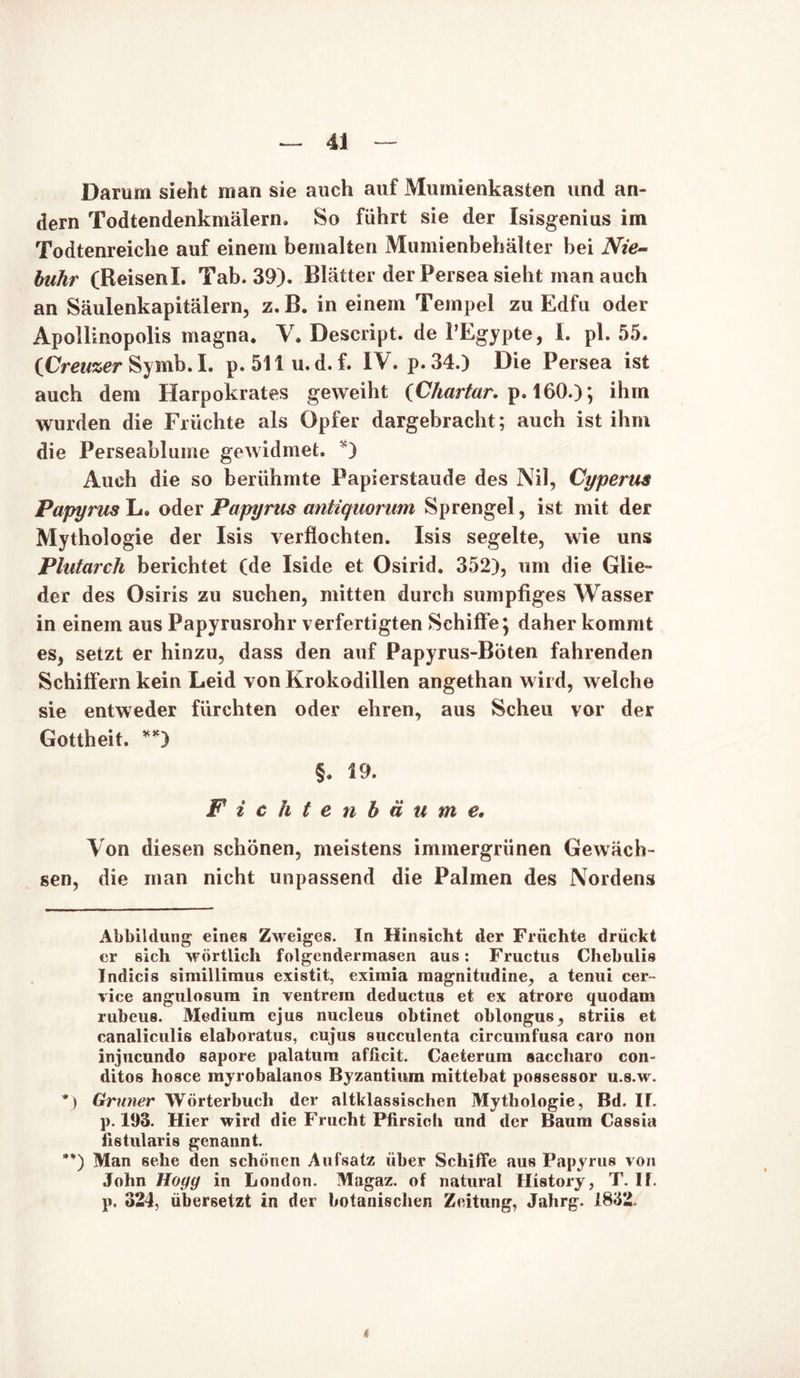 Darum sieht man sie auch auf Mumienkasten und an- dern Todtendenkmälern. So führt sie der Isisgenius im Todtenreiche auf einem bemalten Mumienbehälter bei Nie- buhr (Reisenl. Tab. 39). Blätter derPersea sieht man auch an Säulenkapitälern, z.B. in einem Tempel zu Edfu oder Apollinopolis magna. V. Descript. de l’Egypte, I. pl. 55. (Creuzer Sy mb. I. p. 511u.d. f. IV. p.34.) Die Persea ist auch dem Harpokrates geweiht (Chartar. p. 160.); ihm wurden die Früchte als Opfer dargebracht; auch ist ihm die Perseabluine gewidmet. * *) Auch die so berühmte Papierstaude des Nil, Cyperus Papyrus L. oder Papyrus antiquorum Sprengel, ist mit der Mythologie der Isis verflochten. Isis segelte, wie uns Plutarch berichtet (de Iside et Osirid. 352), um die Glie- der des Osiris zu suchen, mitten durch sumpfiges Wasser in einem aus Papyrusrohr verfertigten Schiffe; daher kommt es, setzt er hinzu, dass den auf Papyrus-Böten fahrenden Schiffern kein Leid von Krokodillen angethan wird, welche sie entweder fürchten oder ehren, aus Scheu vor der Gottheit. **) §. 19. Fichtenbäu m e. Von diesen schönen, meistens immergrünen Gewäch- sen, die man nicht unpassend die Palmen des Nordens Abbildung eines Zweiges. In Hinsicht der Früchte drückt er sich wörtlich folgendermasen aus: Fructus Chebulis Indicis simillimus existit, eximia magnitudine, a tenui cer- vice angulosum in ventrem deductus et ex atrore quodam rubeus. Medium ejus nucleus obtinet oblongus, striis et canaliculis elaboratus, cujus succulenta circumfusa caro non injucundo sapore palatum afficit. Caeterum aaccharo con- ditos hosce myrobalanos Byzantium mittebat possessor u.s.w. *) Grüner Wörterbuch der altklassischen Mythologie, Bd. II. p. 193. Hier wird die Frucht Pfirsich und der Baum Cassia fistularis genannt. **) Man sehe den schönen Aufsatz über Schiffe aus Papyrus von John Hogg in London. Magaz. of natural History, T. II. p. 324, übersetzt in der botanischen Zeitung, Jahrg. 1832. 4