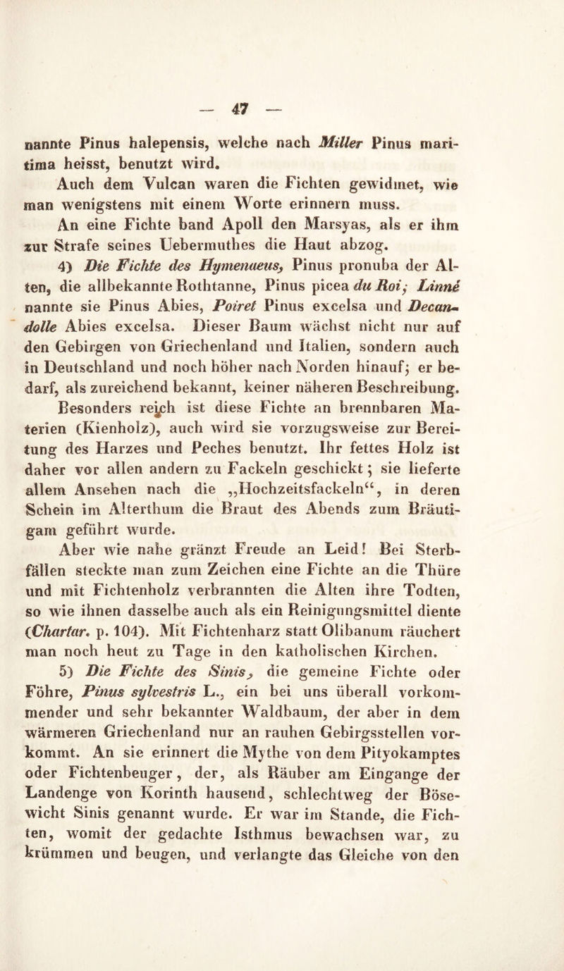 nannte Pinus halepensis, welche nach Miller Pinus mari- tima heisst, benutzt wird. Auch dem Vulcan waren die Fichten gewidmet, wie man wenigstens mit einem W orte erinnern muss. An eine Fichte band Apoll den Marsyas, als er ihm zur Strafe seines Uebermuthes die Haut abzog. 4) Die Fichte des Hymenaeus, Pinus pronuba der Al- ten, die allbekannte Rothtanne, Pinus picea du Hoi/ Linni nannte sie Pinus Abies, Poiret Pinus excelsa und Decan« dolle Abies excelsa. Dieser Baum wächst nicht nur auf den Gebirgen von Griechenland und Italien, sondern auch in Deutschland und noch hoher nach Norden hinauf; er be- darf, als zureichend bekannt, keiner näheren Beschreibung. Besonders reysh ist diese Fichte an brennbaren Ma- terien (Kienholz), auch wild sie vorzugsweise zur Berei- tung des Harzes und Peches benutzt. Ihr fettes Holz ist daher vor allen andern zu Fackeln geschickt; sie lieferte allem Ansehen nach die „Hochzeitsfackeln“, in deren Schein im Alterthum die Braut des Abends zum Bräuti- gam geführt wurde. Aber wie nahe gränzt Freude an Leid! Bei Sterb- fällen steckte man zum Zeichen eine Fichte an die Thüre und mit Fichtenholz verbrannten die Alten ihre Todten, so wie ihnen dasselbe auch als ein Reinigungsmittel diente iChartar. p. 104). Mit Fichtenharz statt Olibanum räuchert man noch heut zu Tage in den katholischen Kirchen. 5) Die Fichte des SiniSj, die gemeine Fichte oder Föhre, Pinus sylvestris L., ein bei uns überall vorkom- mender und sehr bekannter Waldbaum, der aber in dem wärmeren Griechenland nur an rauhen Gebirgsstellen vor- kommt. An sie erinnert die Mythe von dem Pityokamptes oder Fichtenbeuger, der, als Räuber am Eingänge der Landenge von Korinth hausend, schlechtweg der Böse- wicht Sinis genannt wurde. Er war im Stande, die Fich- ten, womit der gedachte Isthmus bewachsen war, zu krümmen und beugen, und verlangte das Gleiche von den