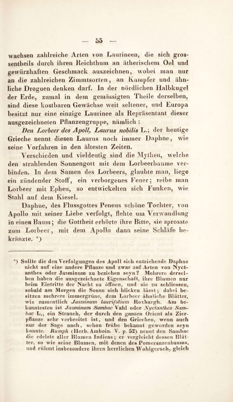 wachsen zahlreiche Arten von Laurineen, die sich gros- sentheils durch ihren Reichthum an ätherischem Oel und gewürzhaften Geschmack auszeichnen, wobei man nur an die zahlreichen Zimmtsorten, an Kampfer und ähn- liche Droguen denken darf. In der nördlichen Halbkugel der Erde, zumal in dem gemässigten Theile derselben, sind diese kostbaren Gewächse weit seltener, und Europa besitzt nur eine einzige Laurinee als Repräsentant dieser ausgezeichneten Pflanzengruppe, nämlich : Den Lorbeer des Apollo Laurus nobilis L.; der heutige Grieche nennt diesen Laurus noch immer Daphne, wie seine Vorfahren in den ältesten Zeiten. Verschieden und vieldeutig sind die Mythen, welche den strahlenden Sonnengott mit dem Lorbeerbäume ver- binden. In dem Samen des Lorbeers, glaubte man, liege ein zündender Stoff, ein verborgenes Feuer; reibe man Lorbeer mit Epheu, so entwickelten sich Funken, wie Stahl auf dem Kiesel. Daphne, des Flussgottes Peneus schone Tochter, von Apollo mit seiner Liebe verfolgt, flehte um Verwandlung in einen Baum; die Gottheit erhörte ihre Bitte, sie sprosste zum Lorbeer, mit dem Apollo dann seine Schläfe be- kränzte. *) *> Sollte die den Verfolgungen des Apoll sich entziehende Daphne nicht auf eine andere Pflanze und zwar auf Arten von Nyct- antlies oder Jasminum zu beziehen seyn? Mehrere dersel- ben haben die ausgezeichnete Eigenschaft, ihre Blumen nur beim Eintritte der Nacht zu öffnen, und sie zu schliessen, sobald am Morgen die Sonne sich blicken lässt; dabei be- sitzen mehrere immergrüne, dem Lorbeer ähnliche Blätter, wie namentlich Jasminum laurifolium Roxburgh. Am be- kanntesten ist Jasminum Sambac Vahl oder Nyctanthes Sam- bac L., ein Strauch, der durch den ganzen Orient als Zier- pflanze sehr verbreitet ist, und den Griechen, wenn auch nur der Sage nach, schon frühe bekannt geworden seyn konnte. Rumph (Herb. Amboin- V. p. 52) nennt den Sambac die edelste aller Blumen Indiens j er vergleicht dessen Blät- ter, so wie seine Blumen, mit denen des Pomeranzenbaums, und rühmt insbesondere ihren herrlichen Wohlgerncb, gleich