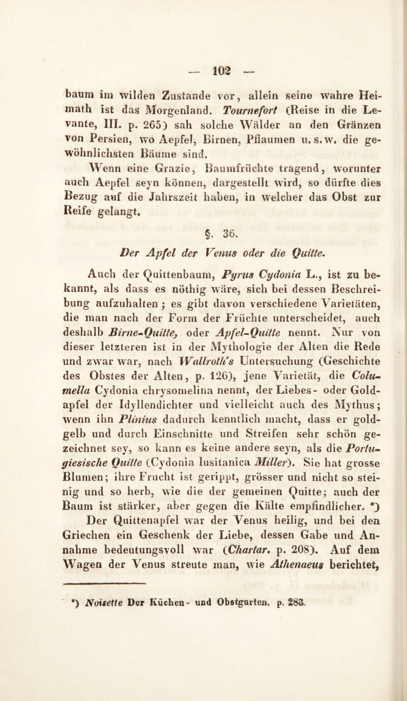 m bäum im wilden Zustande vor, allein seine wahre Hei- math ist das Morgenland. Tournefort (Reise in die Le- vante, III. p. 265) sah solche Wälder an den Gränzen von Persien, wo Aepfel, Birnen, Pflaumen u. s.w, die ge- wöhnlichsten Bäume sind. Wenn eine Grazie, Baumfrüchte tragend, worunter auch Aepfel seyn können, dargestellt wird, so dürfte dies Bezug auf die Jahrszeit haben, in weicher das Obst zur Reife gelangt. §. 36. Der Apfel der Venus oder die Quitte, Auch der Quittenbaum, Pyrus Cydonia L., ist zu be- kannt, als dass es nöthig wäre, sich bei dessen Beschrei- bung aufzuhalten ; es gibt davon verschiedene Varietäten, die man nach der Form der Früchte unterscheidet, auch deshalb Birne-Quittej oder Apfel-Quitte nennt. Nur von dieser letzteren ist in der Mythologie der Alten die Rede und zwar war, nach Wallrotlis Untersuchung (Geschichte des Obstes der Alten, p. 126), jene Varietät, die Colu- mella Cydonia chrysomelina nennt, der Liebes- oder Gold- apfel der Idyllendichter und vielleicht auch des Mythus; wenn ihn Plinius dadurch kenntlich macht, dass er gold- gelb und durch Einschnitte und Streifen sehr schön ge- zeichnet sey, so kann es keine andere seyn, als die Portu- giesische Quitte (Cydonia lusitanica Miller), Sie hat grosse Blumen; ihre Frucht ist gerippt, grösser und nicht so stei- nig und so herb, wie die der gemeinen Quitte; auch der Baum ist stärker, aber gegen die Kälte empfindlicher. *) Der Quittenapfei war der Venus heilig, und bei den Griechen ein Geschenk der Liebe, dessen Gabe und An- nahme bedeutungsvoll war (Chartar. p. 208). Auf dem Wagen der Venus streute inan, wie Athenaeus berichtet, *) Noisette Der Küchen- und Obstgarten, p. 283,