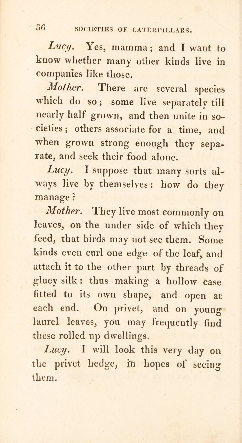 Lucy. Yes, mamma; and I want to know whether many other kinds live in companies like those. Mother. There are several species which do so; some live separately till nearly half grown, and then unite in so- cieties ; others associate for a time, and when grown strong enough they sepa- rate, and seek their food alone. Lucy. I suppose that many sorts al- ways live by themselves : how do they manage ? Mother. They live most commonly on leaves, on the under side of which they feed, that birds may not see them. Some kinds even curl one edge of the leaf,, and attach it to the other part by threads of gluey silk: thus making a hollow case fitted to its own shape, and open at each end. On privet, and on young laurel leaves, you may frequently find these rolled up dwellings. Lucy. I will look this very day on the privet hedge, ill hopes of seeing them.