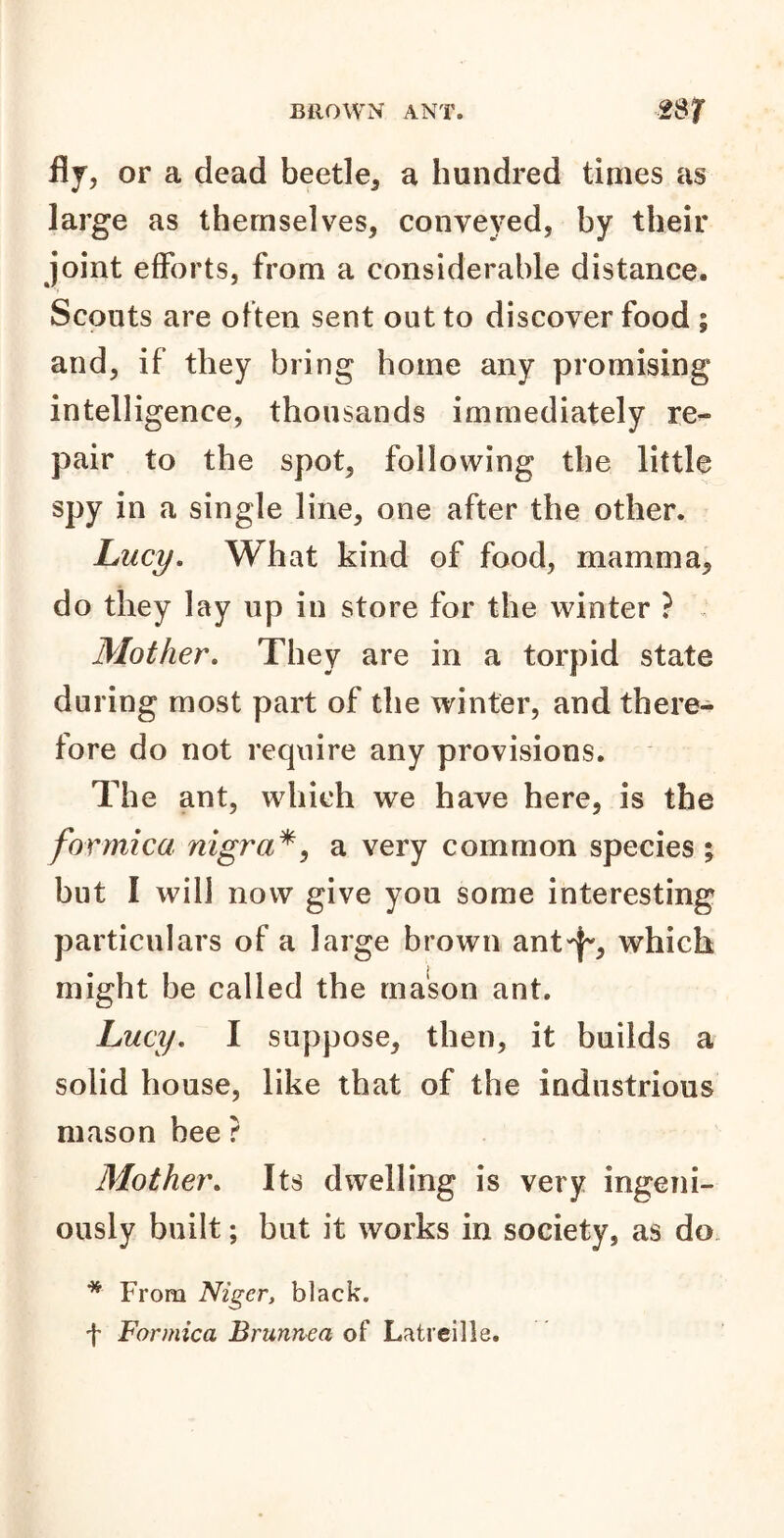 ily, or a dead beetle* a hundred times as large as themselves, conveyed, by their joint efforts, from a considerable distance. Scouts are often sent out to discover food ; and, if they bring home any promising intelligence, thousands immediately re- pair to the spot, following the little spy in a single line, one after the other. Lucy. What kind of food, mamma, do they lay up in store for the winter ? Mother. They are in a torpid state during most part of the winter, and there- fore do not require any provisions. The ant, which we have here, is the formica nigra*, a very common species ; but I will now give you some interesting particulars of a large brown ant^, which might be called the mason ant. Lucy. I suppose, then, it builds a solid house, like that of the industrious mason bee ? Mother. Its dwelling is very ingeni- ously built; but it works in society, as do * From Niger, black. f Formica Brunnea of Latreille.