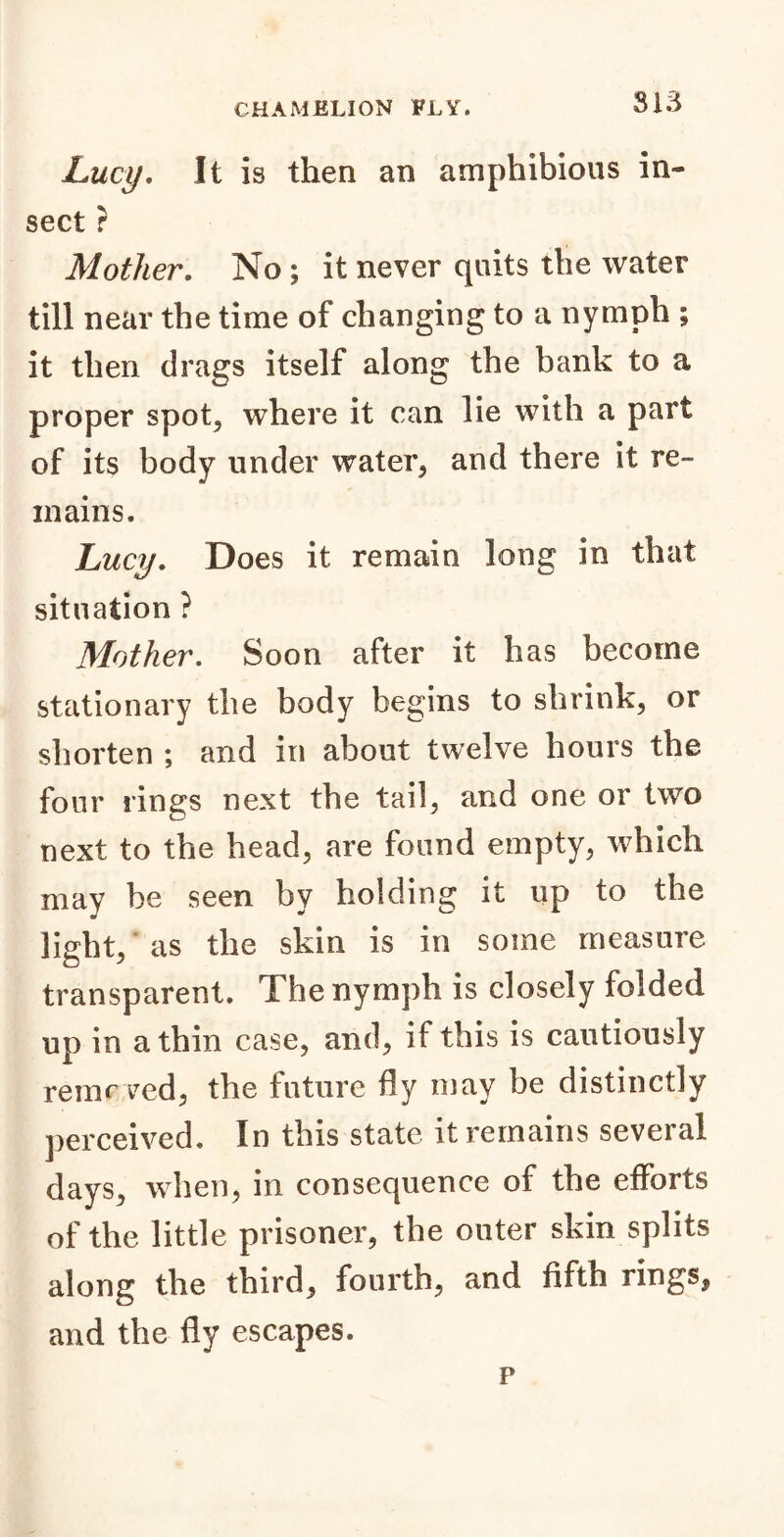 Lucy. It is then an amphibious in- sect ? Mother. No ; it never quits the water till near the time of changing to a nymph ; it then drags itself along the bank to a proper spot, where it can lie with a part of its body under water, and there it re- mains. Lucy. Does it remain long in that situation ? Mother. Soon after it has become stationary the body begins to shrink, or shorten ; and in about twelve hours the four rings next the tail, and one or two next to the head, are found empty, which may be seen by holding it up to the light, as the skin is in some measure transparent. The nymph is closely folded up in a thin case, and, if this is cautiously removed, the future fly may be distinctly perceived. In this state it remains several days, when, in consequence of the efforts of the little prisoner, the outer skin splits along the third, fourth, and fifth rings, and the fly escapes. p