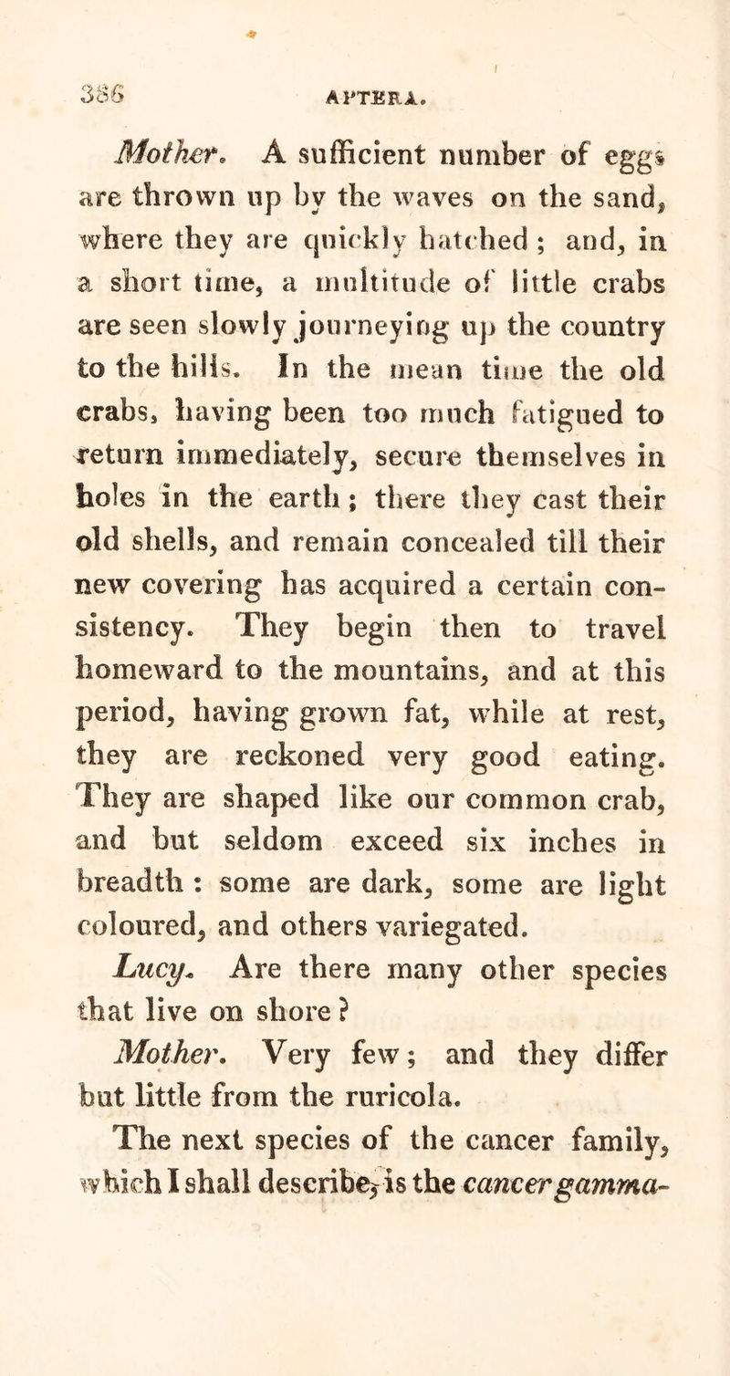 Mother. A sufficient number of egg* are thrown up by the waves on the sand, where they are quickly hatched ; and, in a short time, a multitude of little crabs are seen slowly journeying up the country fco the hills. In the mean time the old crabs, having been too much fatigued to return immediately, secure themselves in holes in the earth; there they cast their old shells, and remain concealed till their new covering has acquired a certain con- sistency. They begin then to travel homeward to the mountains, and at this period, having grown fat, while at rest, they are reckoned very good eating. They are shaped like our common crab, and but seldom exceed six inches in breadth : some are dark, some are light coloured, and others variegated. Lucy. Are there many other species that live on shore ? Mother. Very few; and they differ but little from the ruricola. The next species of the cancer family, which I shall describe* is the cancer gamma-
