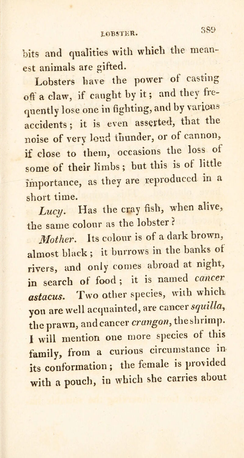 JLOBSTKR. bits and qualities with which the mean- est animals are gifted. Lobsters have the power of casting oil a claw, if caught by it; and they fre- quently lose one in fighting, and by various accidents; it is even asserted, that the noise of very loud thunder, or of cannon* if close to them, occasions the loss of some of their limbs; but this is of little importance, as they are reproduced in a short time. Lucy. Has the cray fish, when alive, the same colour as the lobster ? Mother. Its colour is of a dark brown, almost black ; it burrows in the banks of rivers, and only comes abroad at night, in search of food ; it is named cancer astacus. Two other species, with whicir you are well acquainted, are cancer squilla, the prawn, and cancer crangon, the shrimp. I will mention one more species of this family, from a curious circumstance in its conformation ; the female is provided with a pouch, in which she carries about