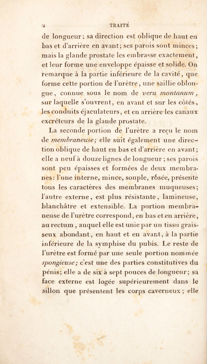 de longueur; sa direction est oblique de haut en bas et d’arrière en avant; ses parois sont minces; mais la glande prostate les embrasse exactement, et leur forme une enveloppe épaisse et solide. On remarque à la partie inférieure de la cavité, que forme cette portion de l’urètre, une saillie oblon- gue, connue sous le nom de veru montanum, sur laquelle s’ouvrent, en avant et sur les côtés, les conduits éjaculateurs, et en arrière les canaux excréteurs de la glande prostate. La seconde portion de l’urètre a reçu le nom de membraneuse ; elle suit également une direc- tion oblique de haut en bas et d’arrière en avant; elle a neuf à douze lignes de longueur ; ses parois sont peu épaisses et formées de deux membra- nes: l’une interne, mince, souple, rôsée, présente tous les caractères des membranes muqueuses; l’autre externe, est plus résistante, lamineuse, blanchâtre et extensible. La portion membra- neuse de l’urètre correspond, en bas et en arrière, au rectum , auquel elle est unie par un tissu grais- seux abondant, en haut et en avant, à la partie inférieure de la symphise du pubis. Le reste de l’urètre est formé par une seule portion nommée spongieuse ; c’est une des parties constitutives du pénis; elle a de six à sept pouces de longueur; sa face externe est logée supérieurement dans le sillon que présentent les corps caverneux; elle