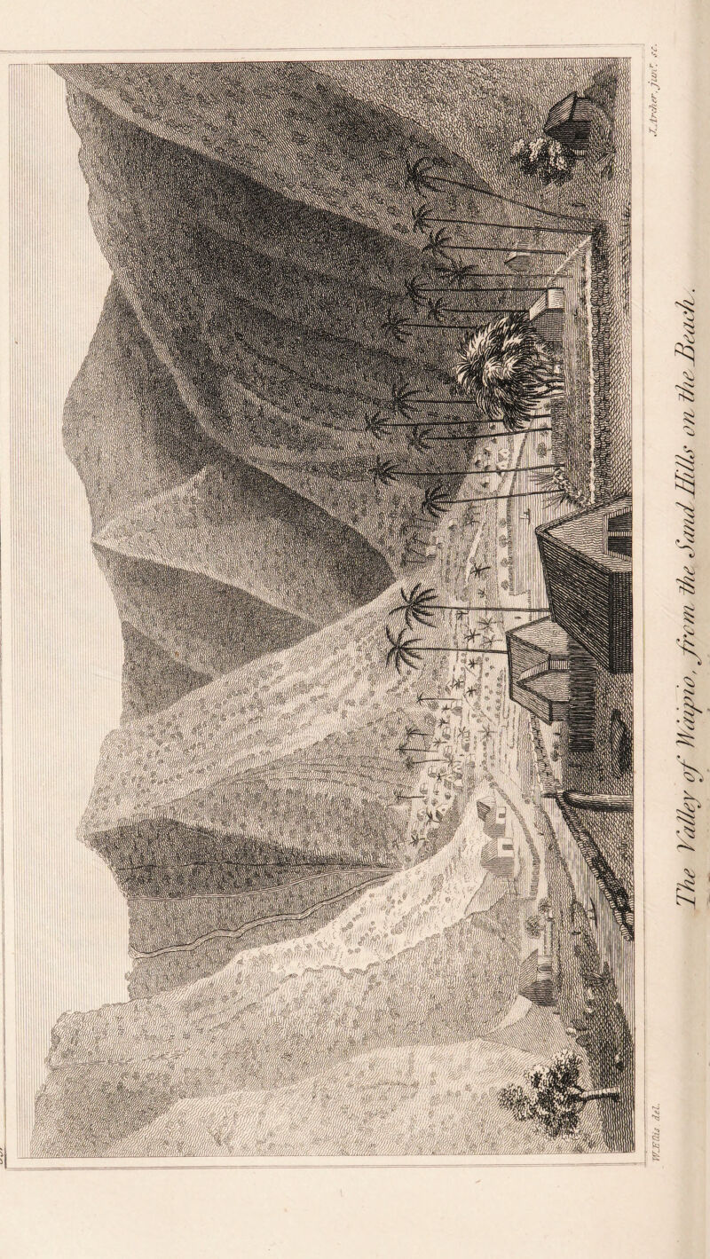 The Valley of Muuy/o, from ike. Sand Hilly on the Honedi.