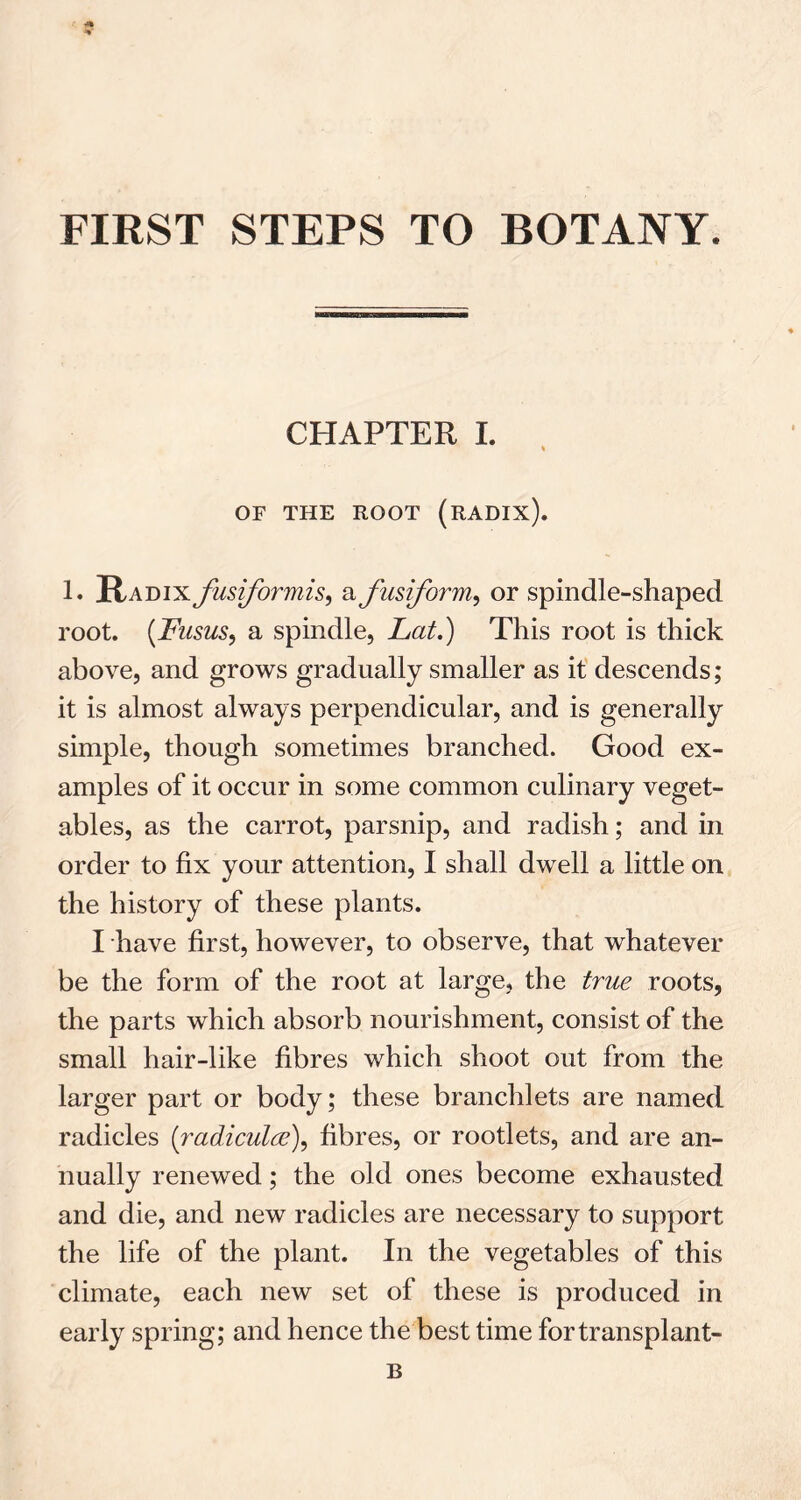 CHAPTER I. OF THE ROOT (RADIX). 1. Radix fusiformis, a fusiform, or spindle-shaped root. (Fusus, a spindle, Lat.) This root is thick above, and grows gradually smaller as it descends; it is almost always perpendicular, and is generally simple, though sometimes branched. Good ex- amples of it occur in some common culinary veget- ables, as the carrot, parsnip, and radish; and in order to fix your attention, I shall dwell a little on the history of these plants. I have first, however, to observe, that whatever be the form of the root at large, the true roots, the parts which absorb nourishment, consist of the small hair-like fibres which shoot out from the larger part or body; these branchlets are named radicles (radiculce), fibres, or rootlets, and are an- nually renewed; the old ones become exhausted and die, and new radicles are necessary to support the life of the plant. In the vegetables of this climate, each new set of these is produced in early spring; and hence the best time for transplant- B