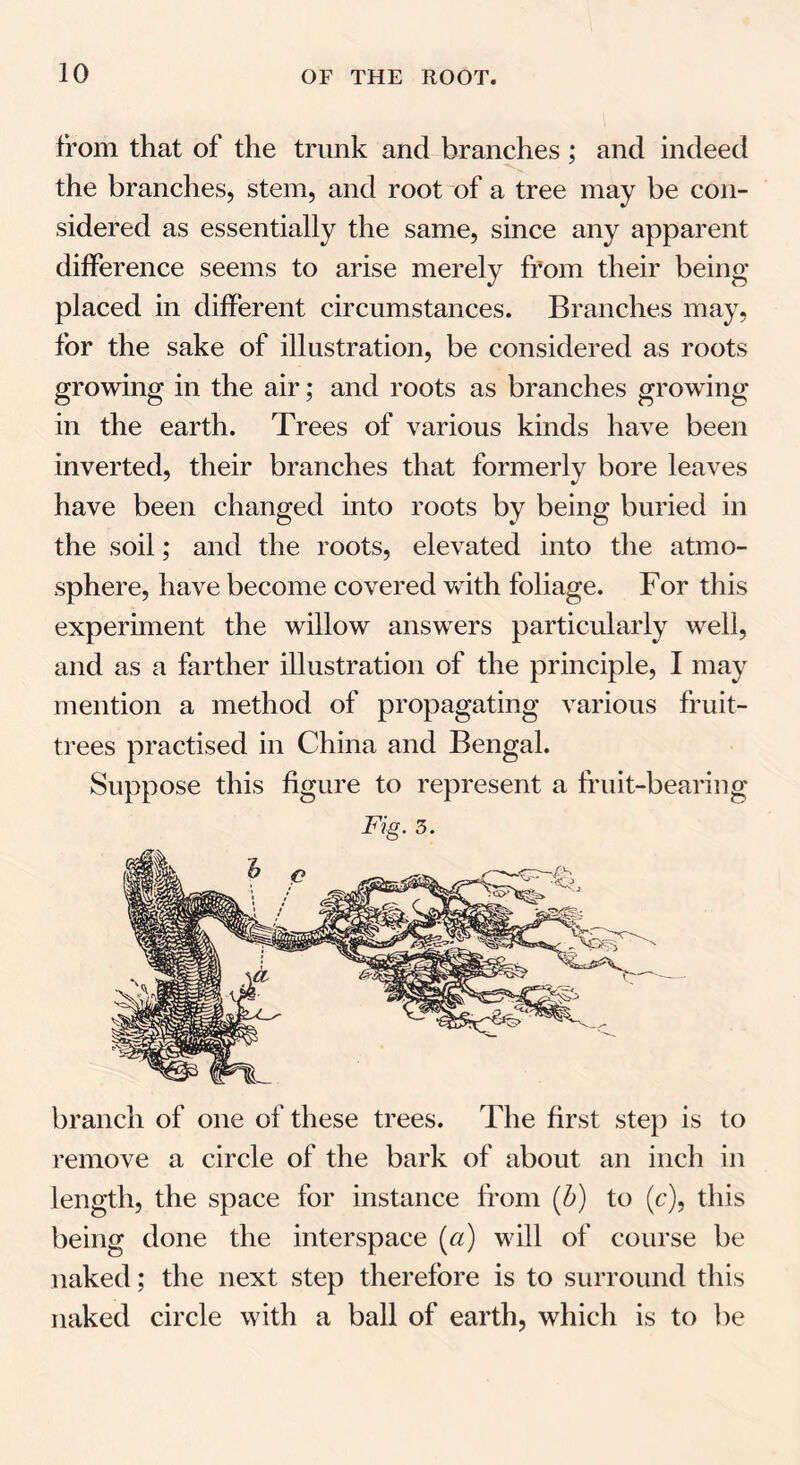 from that of the trunk and branches; and indeed the branches, stem, and root of a tree may be con- sidered as essentially the same, since any apparent difference seems to arise merely from their being- placed in different circumstances. Branches may, for the sake of illustration, be considered as roots growing in the air; and roots as branches growing in the earth. Trees of various kinds have been inverted, their branches that formerly bore leaves have been changed into roots by being buried in the soil; and the roots, elevated into the atmo- sphere, have become covered with foliage. For this experiment the willow answers particularly well, and as a farther illustration of the principle, I may mention a method of propagating various fruit- trees practised in China and Bengal. Suppose this figure to represent a fruit-bearing Fig. 3. branch of one of these trees. The first step is to remove a circle of the bark of about an inch in length, the space for instance from (b) to (c), this being done the interspace (a) will of course be naked; the next step therefore is to surround this naked circle with a ball of earth, which is to be