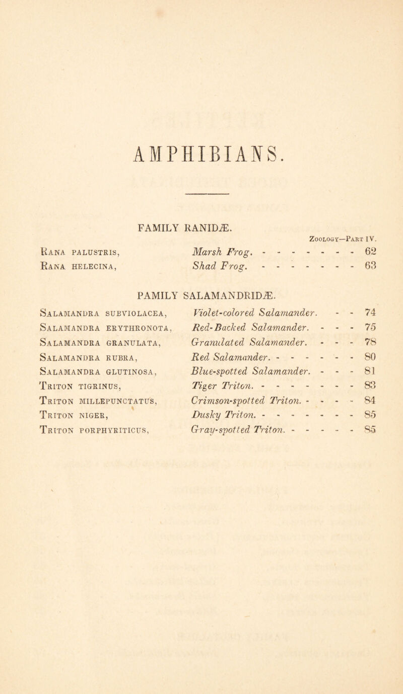 AMPHIBIANS FAMILY RANIDiE. Zoology—Part IV. Rana palustris, Marsh Frog..62 Rana helecina, Shad Frog..63 FAMILY SALAMANDRIDiE. Salamandra subviolacea, Violet-colored Salamander. - - 74 Salamandra erythronota, Red-Bached Salamander. - - - 75 Salamandra granulata, Granulated Salamander. * - - 78 Salamandra rubra, Red Salamander..80 Salamandra glutinosa, Blue-spotted Salamander. - - - 81 Triton tigrinus, Tiger Triton..83 Triton millepunctatus, Crimson-spotted Triton. - - - - 84 Triton Niger, Dusky Triton..- 85 Triton porphyriticus, Gray-spotted Triton..85