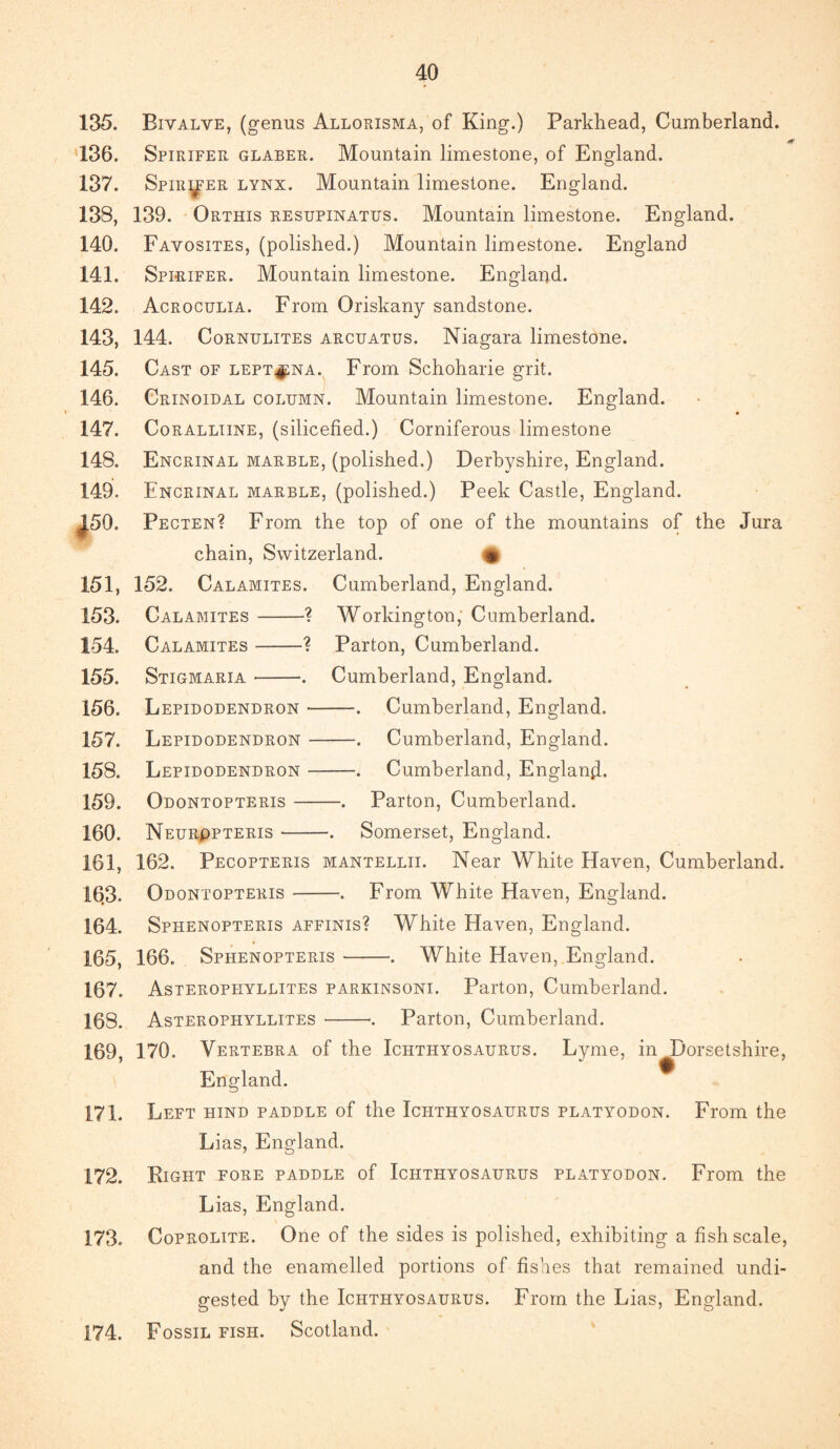 135. Bivalve, (genus Allorisma, of King.) Parkhead, Cumberland. 136. Spirifer glaber. Mountain limestone, of England. 137. Spirifer lynx. Mountain limestone. England. 138. 139. Orthis resupinatus. Mountain limestone. England. 140. Favosites, (polished.) Mountain limestone. England 141. Spirifer. Mountain limestone. England. 142. Acroculia. From Oriskany sandstone. 143. 144. Cornulites arcuatus. Niagara limestone. 145. Cast of leptj;na. From Schoharie grit. 146. Crinoidal column. Mountain limestone. England. 147. Coralliine, (silicefied.) Corniferous limestone 148. Encrinal marble, (polished.) Derbyshire, England. 149. Encrinal marble, (polished.) Peek Castle, England. J50. Pecten? From the top of one of the mountains of the Jura chain, Switzerland. $ 151, 152. Calamites. Cumberland, England. 153. Calamites-? Workington, Cumberland. 154. Calamites-? Parton, Cumberland. 155. Stigmaria-. Cumberland, England. 156. Lepidodendron --•. Cumberland, England. 157. Lepidodendron-. Cumberland, England. 158. Lepidodendron-. Cumberland, England. 159. Odontopteris-. Parton, Cumberland. 160. Neurppteris-. Somerset, England. 161. 162. Pecopteris mantellii. Near White Haven, Cumberland, 163. Odontopteris-. From White Haven, England. 164. Sphenopteris affinis? White Haven, England. 165. 166. Sphenopteris-. White Haven, England. 167. Asteroppiyllites parkinsoni. Parton, Cumberland. 168. Asterophyllites-«. Parton, Cumberland. 169. 170. Vertebra of the Ichthyosaurus. Lyme, in ^Dorsetshire, England. 171. Left hind paddle of the Ichthyosaurus platyodon. From the Lias, England. 172. Right fore paddle of Ichthyosaurus platyodon. From the Lias, England. 173. Coprolite. One of the sides is polished, exhibiting a fish scale, and the enamelled portions of fishes that remained undi¬ gested by the Ichthyosaurus. From the Lias, England. 174. Fossil fish. Scotland.